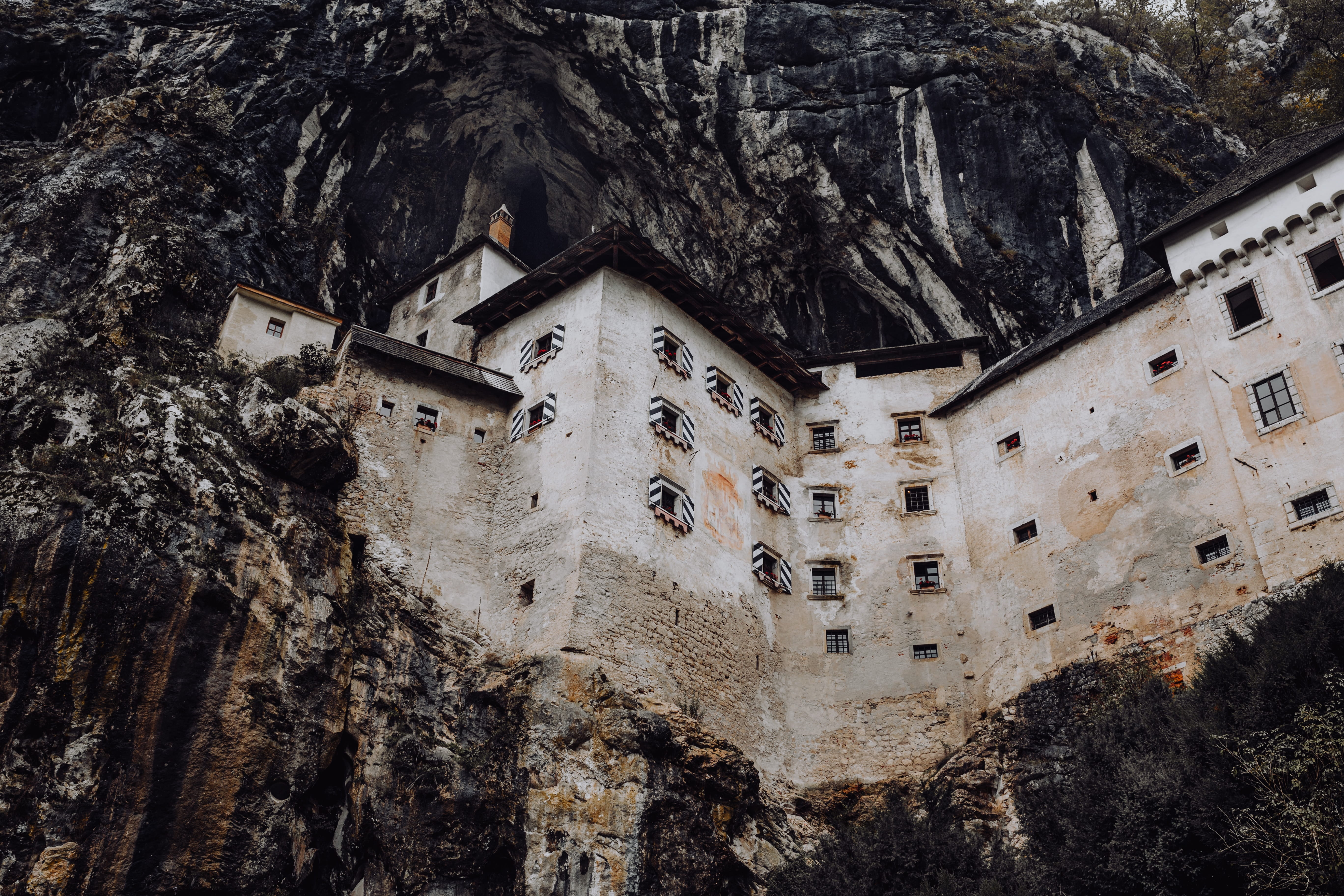 tree, low angle view, outdoors, predjama, history, castle, mysterious, trip, the past, plant, tourism, place of worship, 5K, slovenia, coast, Europe, travel destinations, HD Wallpaper
