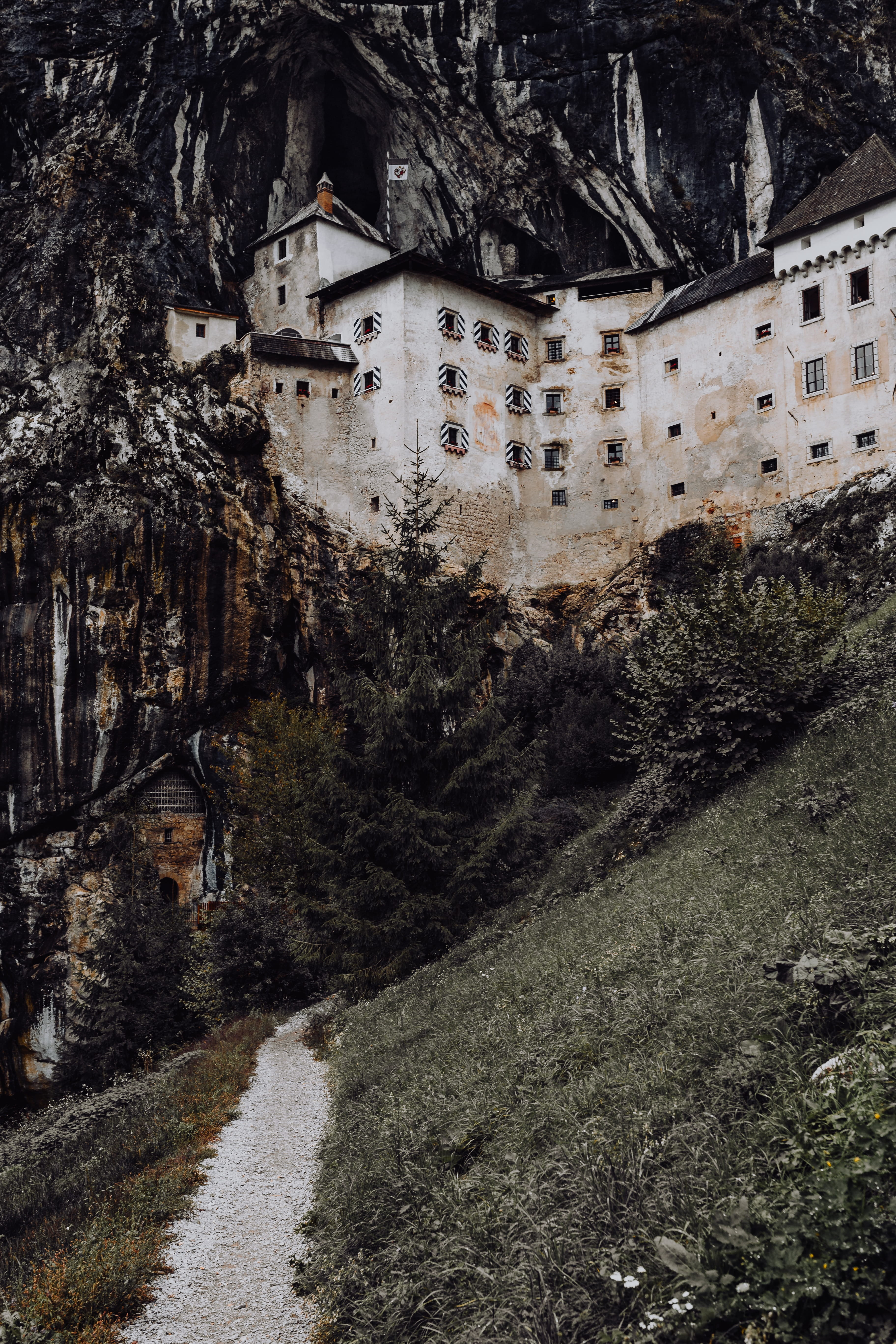 predjama, plant, mouth, 5K, built structure, day, coast, house, outdoors, growth, building exterior, travel, castle, city, nature, road, transportation, Phone HD Wallpaper