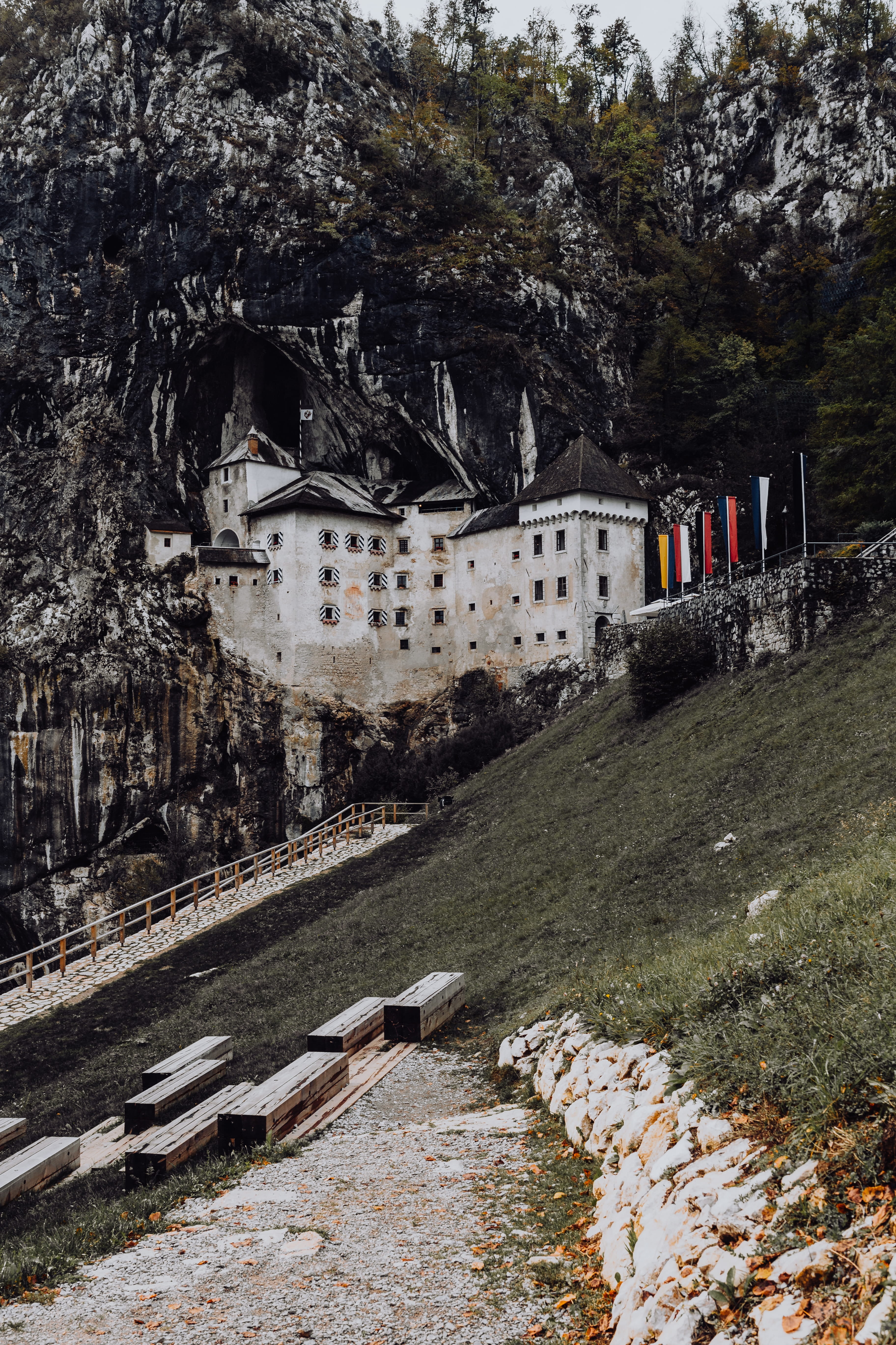 tree, solid, tourism, cliff, wall - building feature, history, growth, slovenia, predjamski grad, day, Europe, predjama, castle, patriotism, building exterior, Phone HD Wallpaper