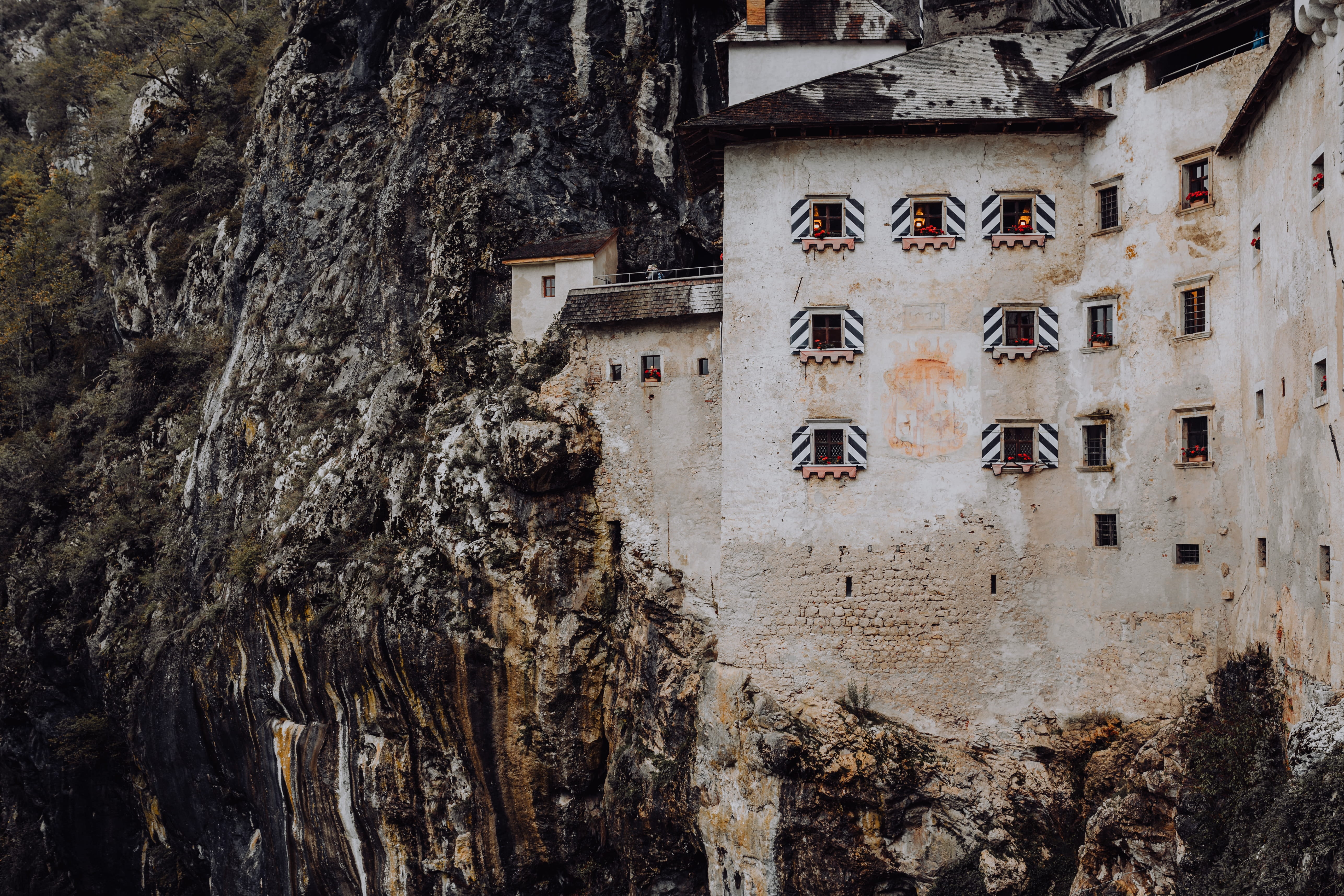 tree, no people, outdoors, 5K, nature, window, coast, mouth, old, slovenia, building, cave, postojna, architecture, wall - building feature, cliff, wall, HD Wallpaper