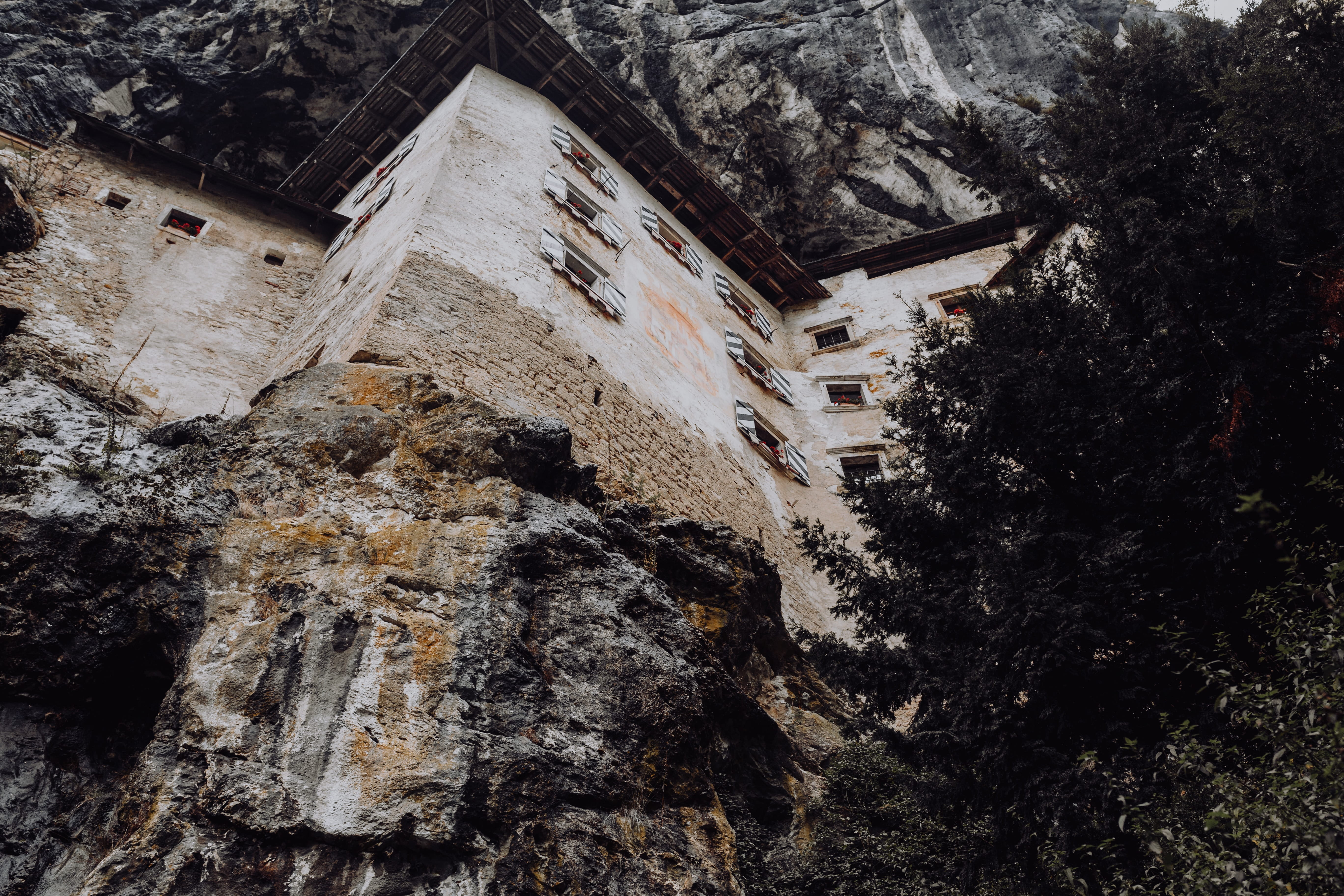 plant, day, postojna, low angle view, cliff, castle, cave, coast, mouth, window, travel destinations, built structure, no people, Europe, tourism, growth, HD Wallpaper
