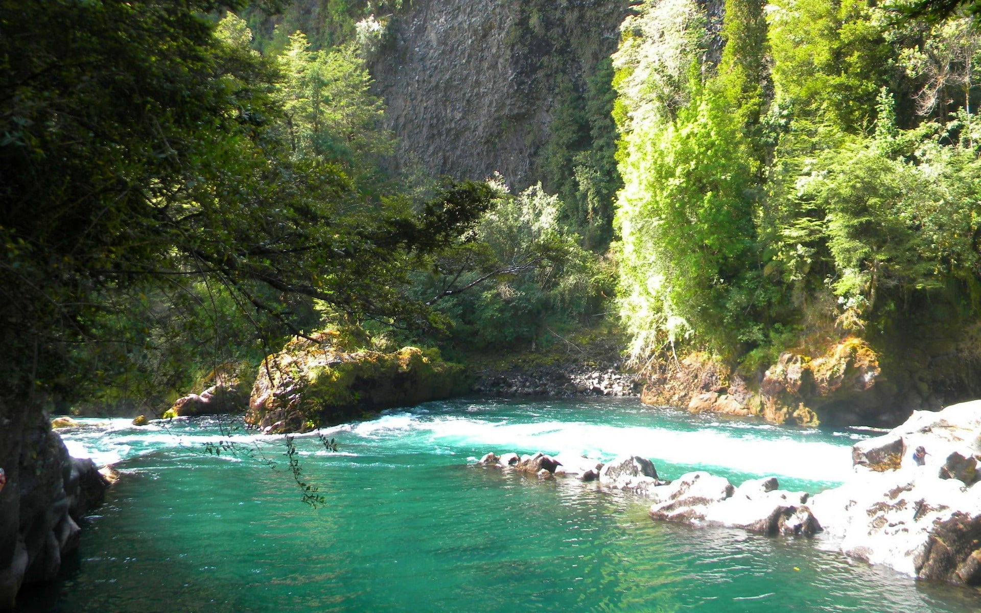 day, waterfront, flowing, solid, turquoise, 1080P, water, turquoise colored, plant, tranquility, river, tranquil scene, mountains, outdoors, beauty in nature, HD Wallpaper