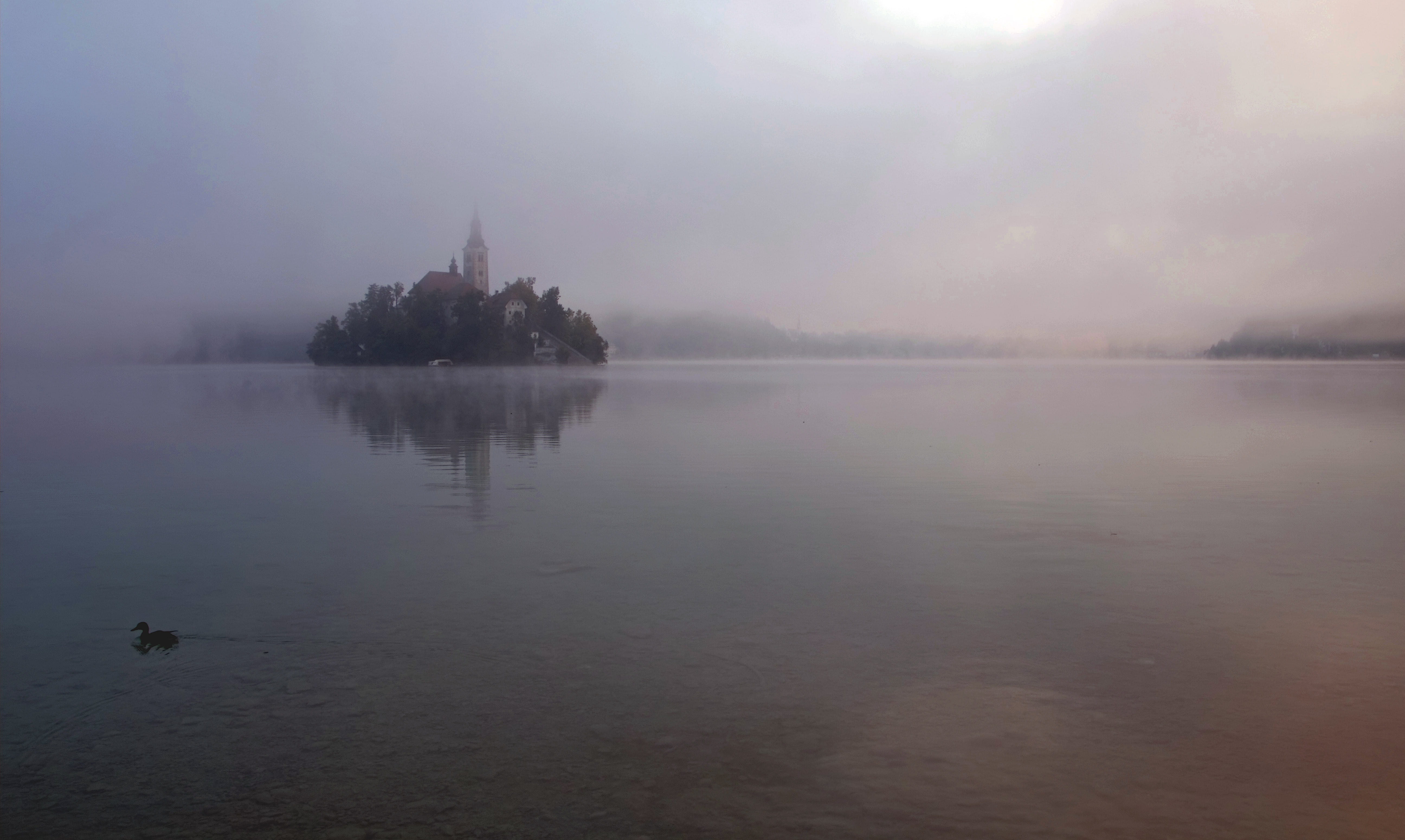 island, beauty in nature, tranquil scene, outdoors, built structure, morning, sky, tree, bled, mist, tranquility, architecture, water, travel destinations, HD Wallpaper