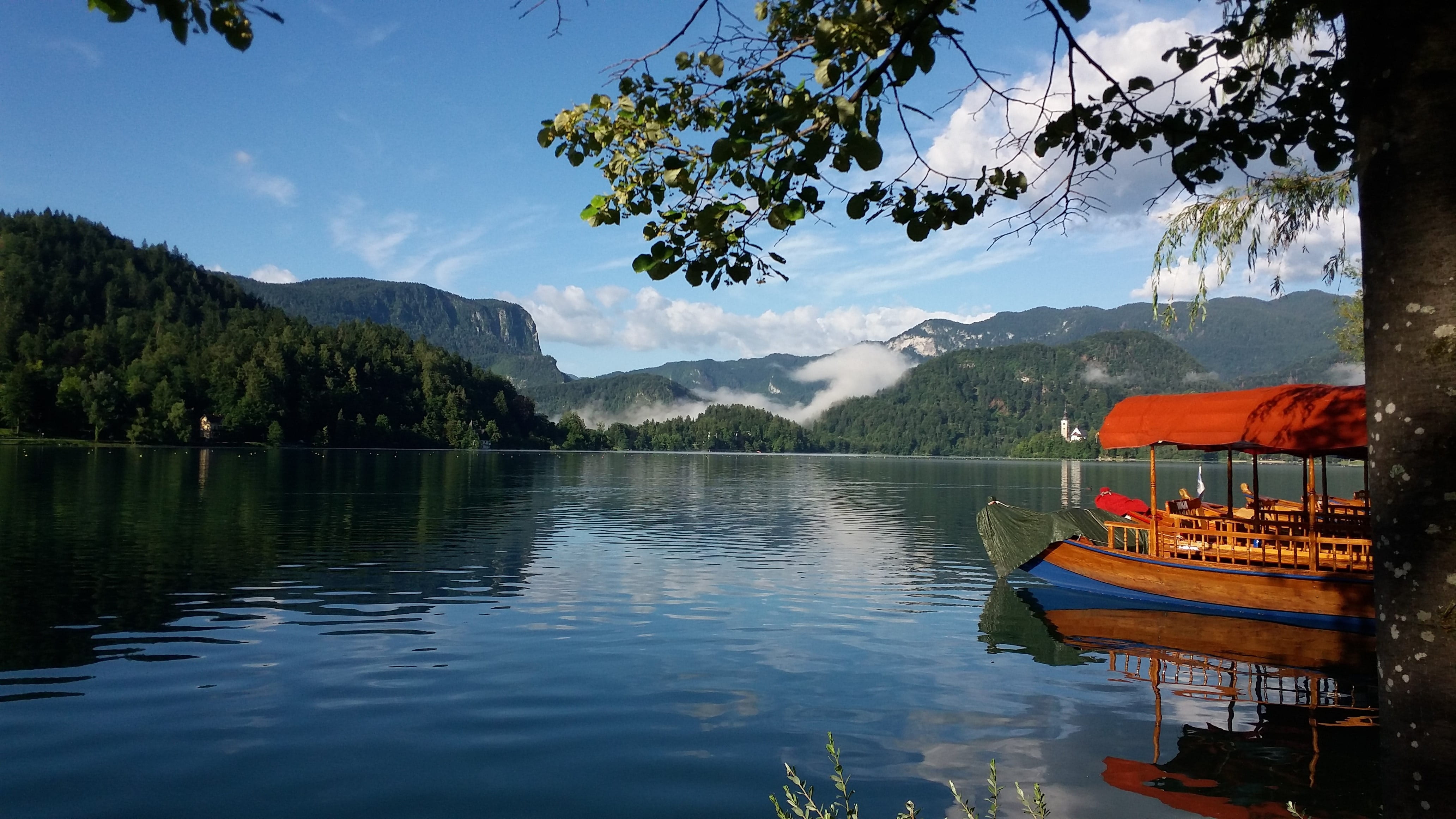 water, slovenia, tranquility, plant, sky, travel, non-urban scene, no people, mode of transportation, lake bled, lake, outdoors, beauty in nature, transportation, HD Wallpaper