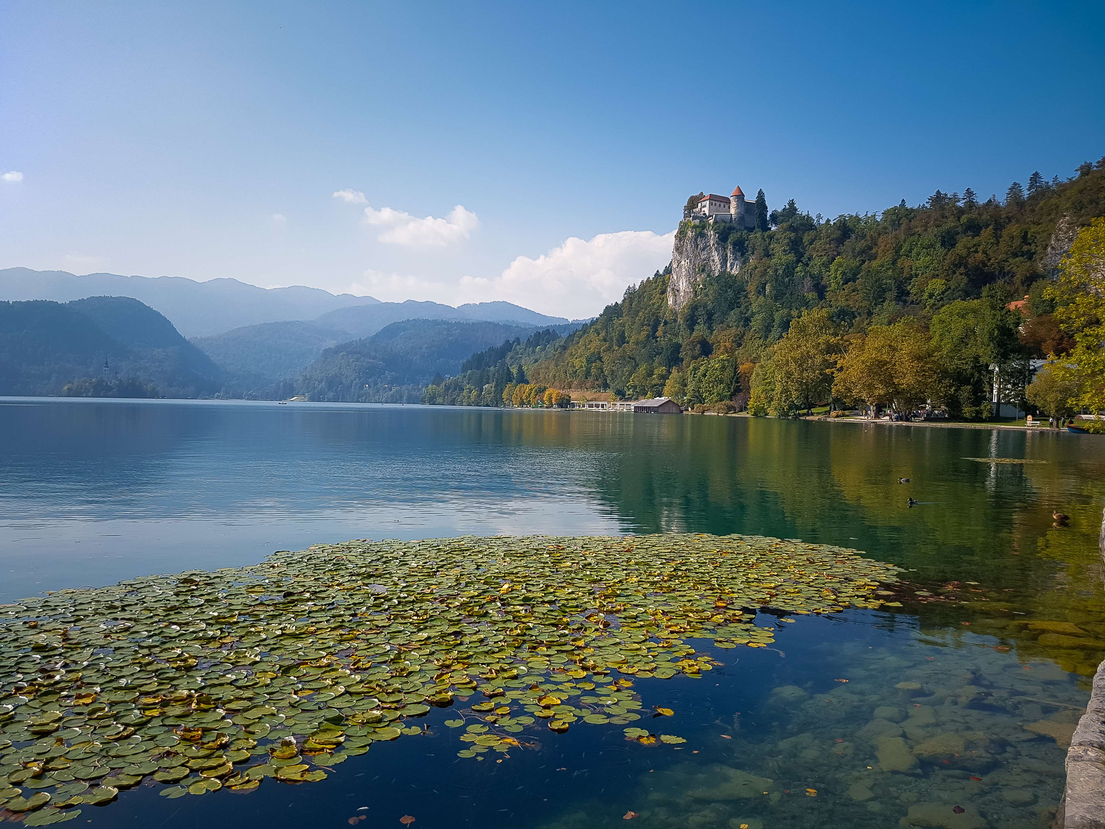 outdoors, travel, tranquility, sky, water, scenics - nature, autumn, no people, reflection, mountain, mountain range, bled, tranquil, europe, tree, tranquil scene, HD Wallpaper