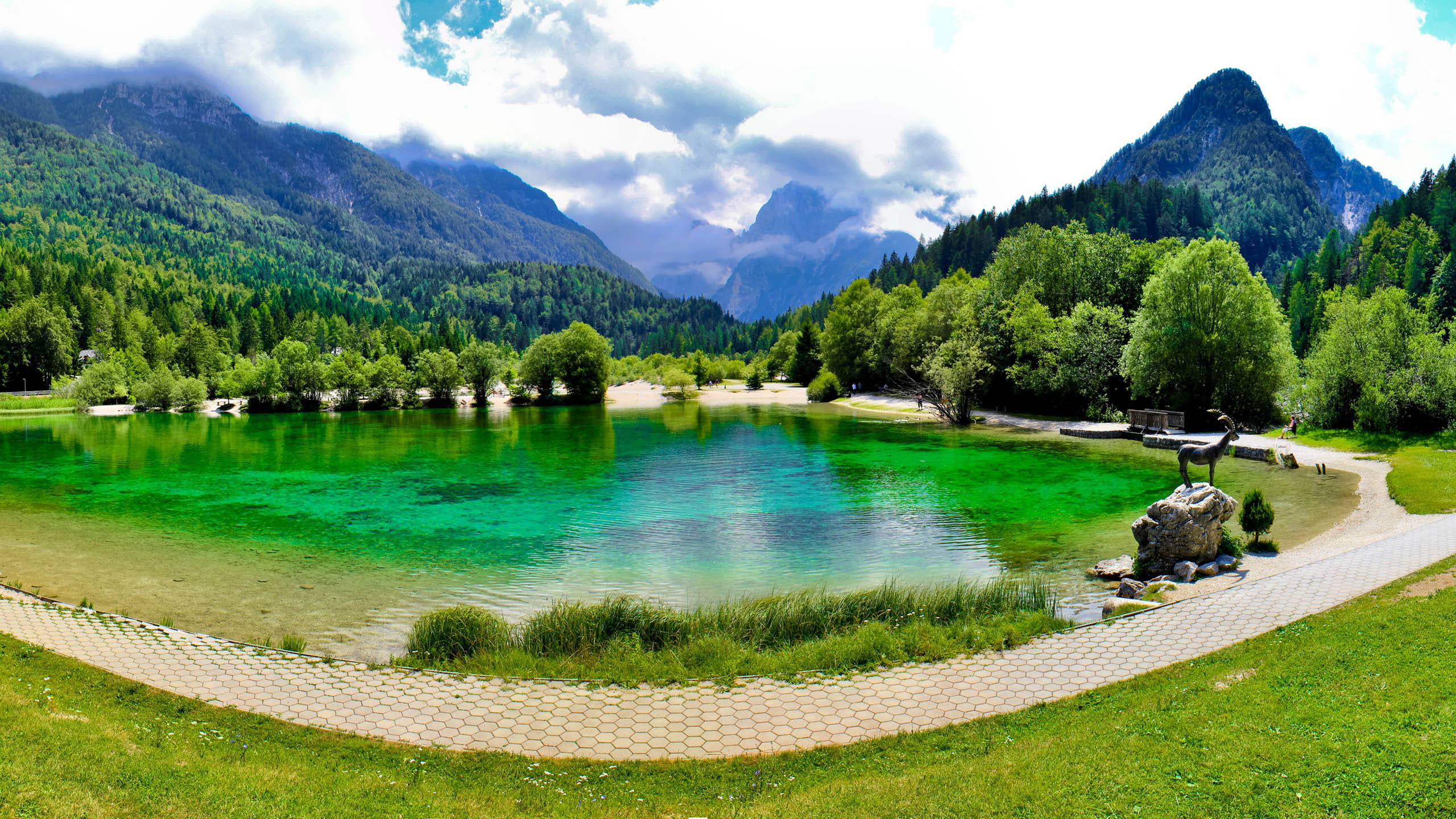 pine, slovenija, spa, forest, green, wellness, gora, 2K, mountain, lake, kranjska, tops, vegetation, alpine, HD Wallpaper