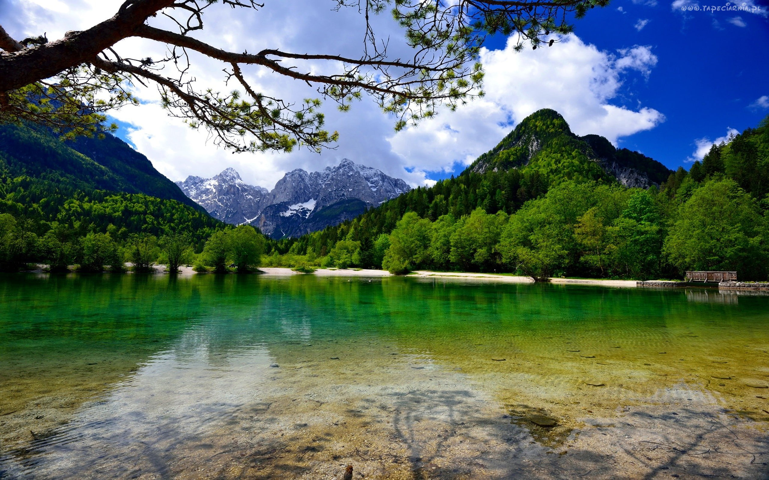 lake, mountains, slovenia, 2K, jasna, gora, forest, HD Wallpaper