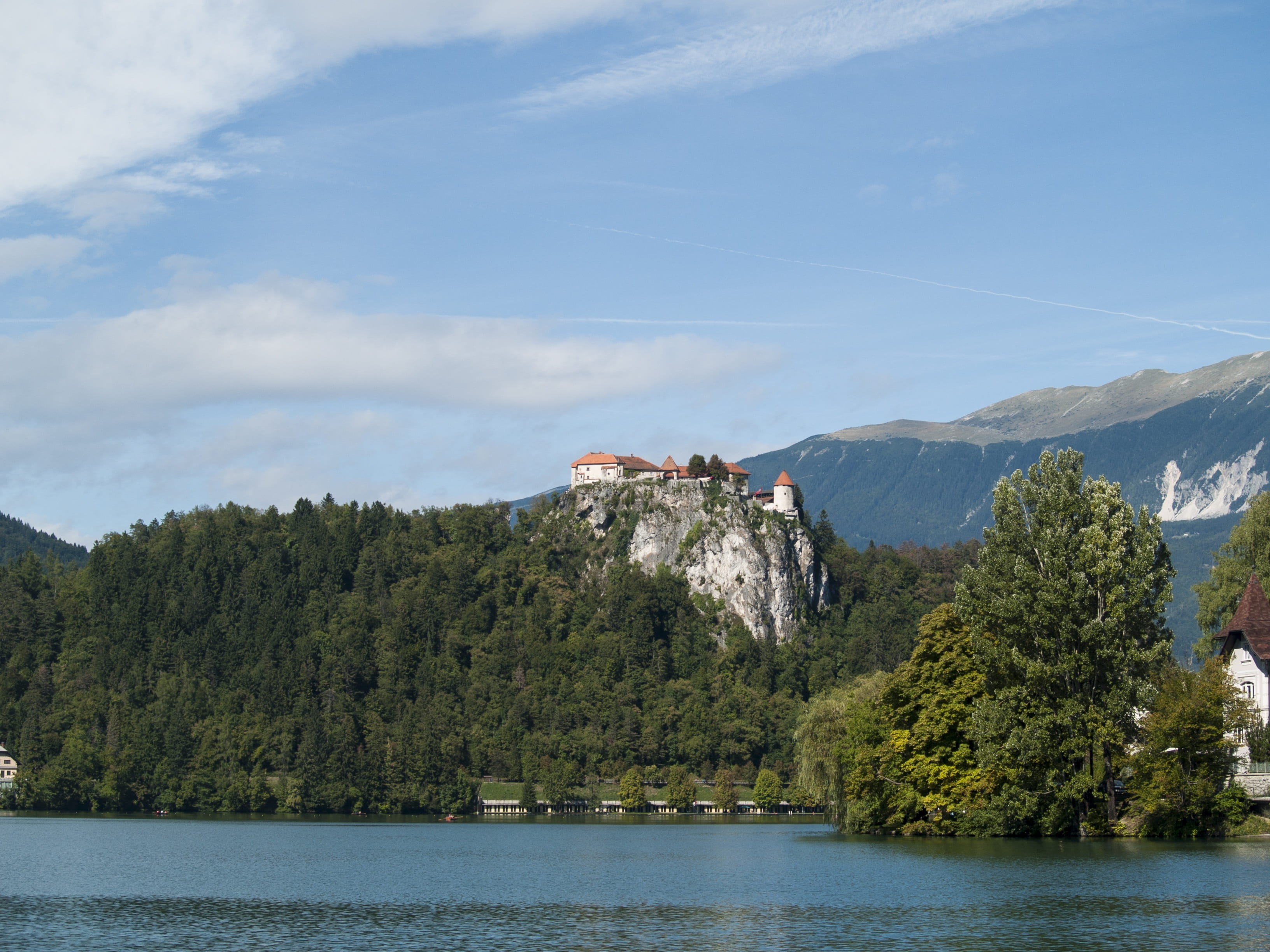 beauty in nature, plant, sky, tranquil scene, Slovenia, outdoors, scenics - nature, day, forest, nature, growth, water, Lake, waterfront, castle, no people, HD Wallpaper
