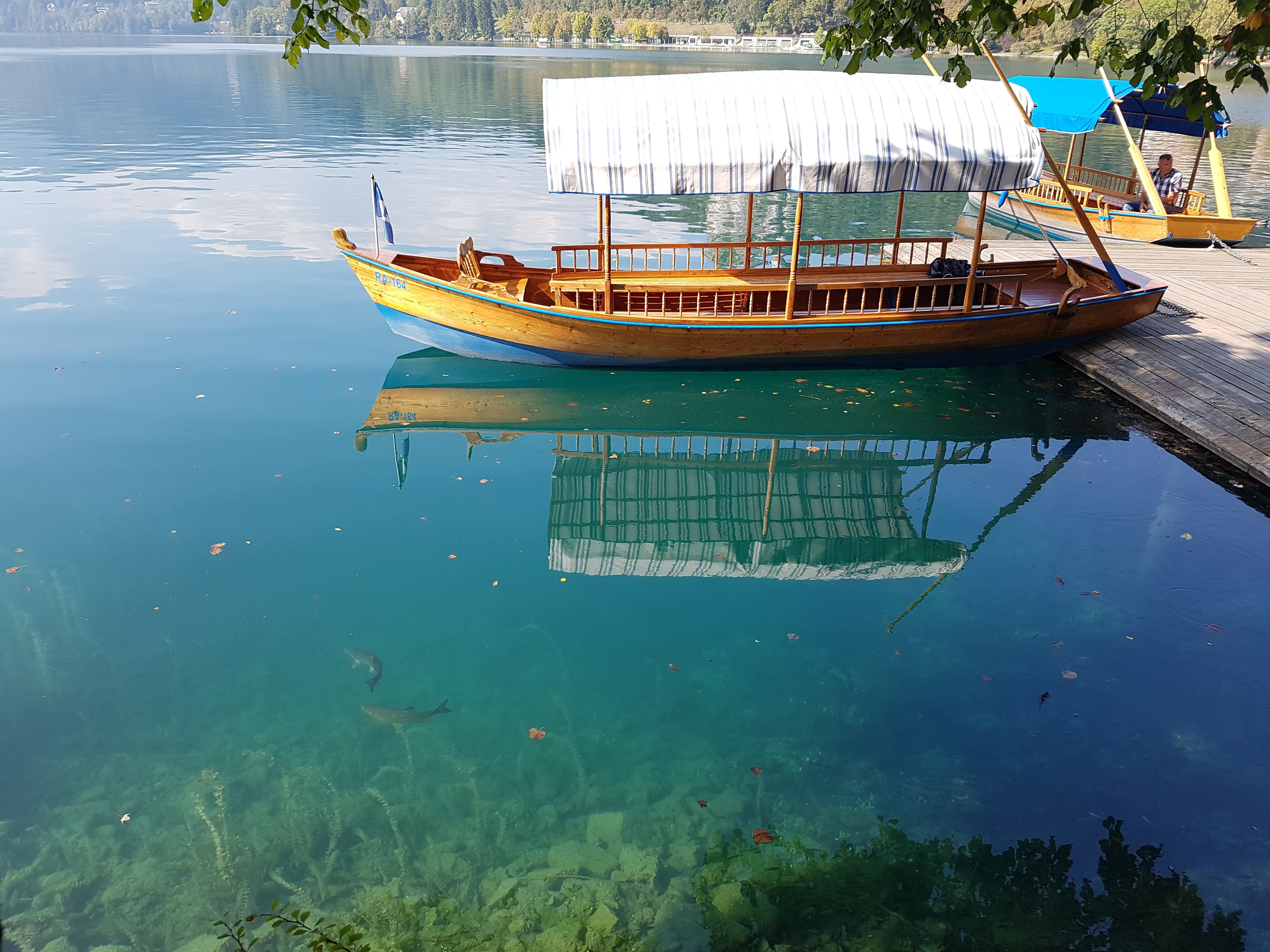 day, nautical vessel, mode of transportation, reflection, plant, slovenia, tranquility, landscape, lake, high angle view, recreational boat, floating on water, HD Wallpaper