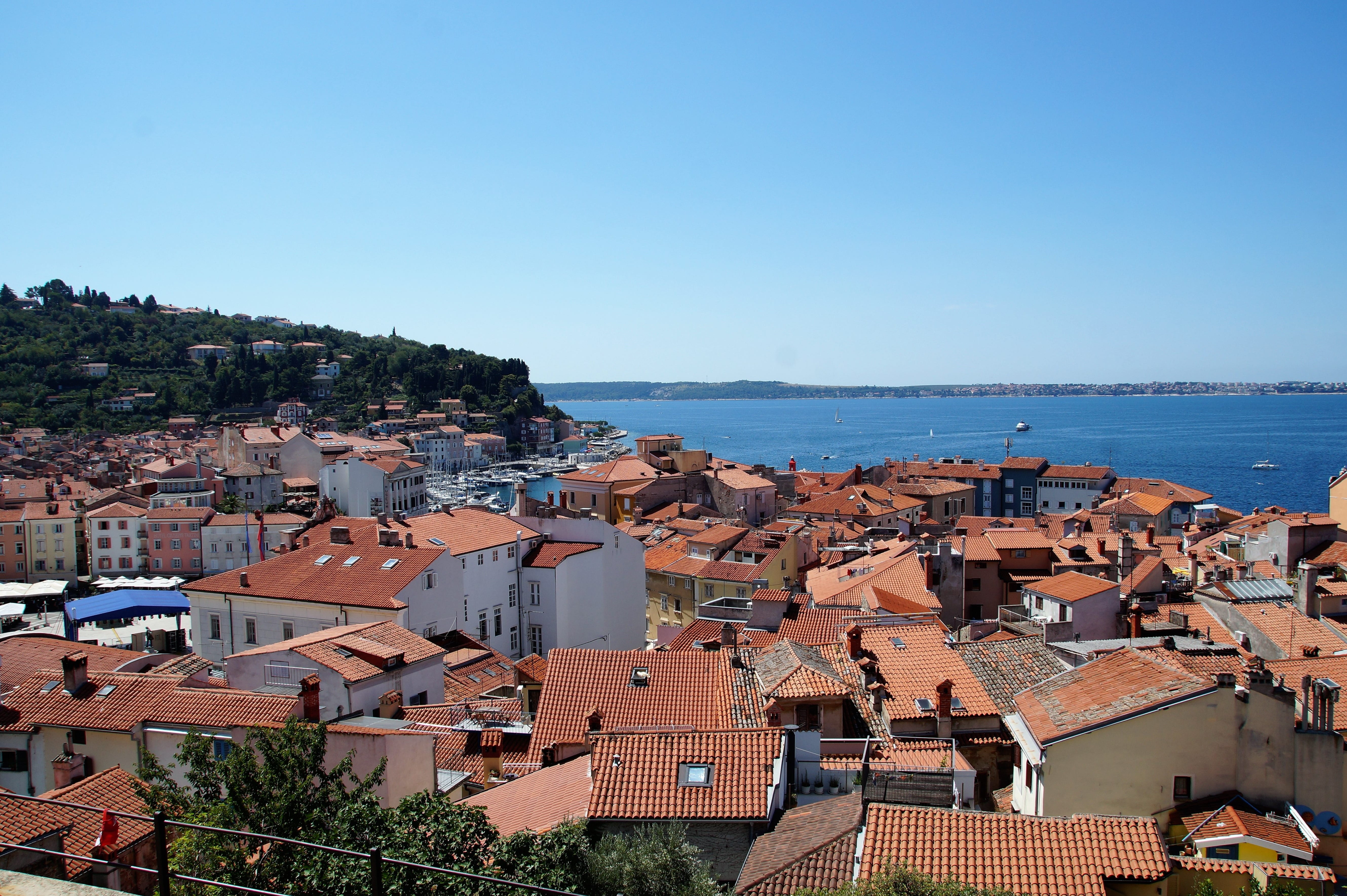 the city of piran, residential district, architecture, house, 5K, high angle view, building exterior, sea, water, the roofs of the houses, coastal city, HD Wallpaper