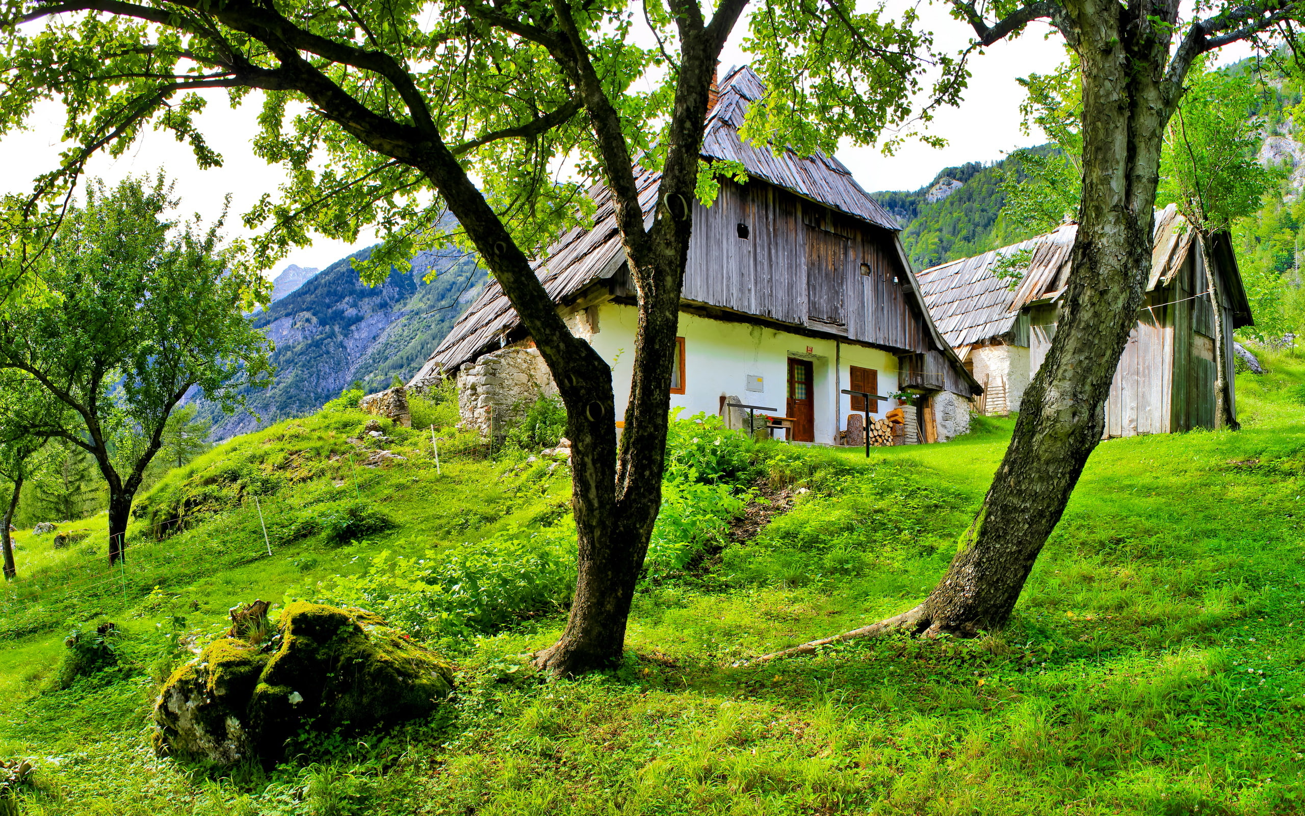  grass, landscape, slovenia, house, buildings, bovec, hd, 2K, trees, HD Wallpaper