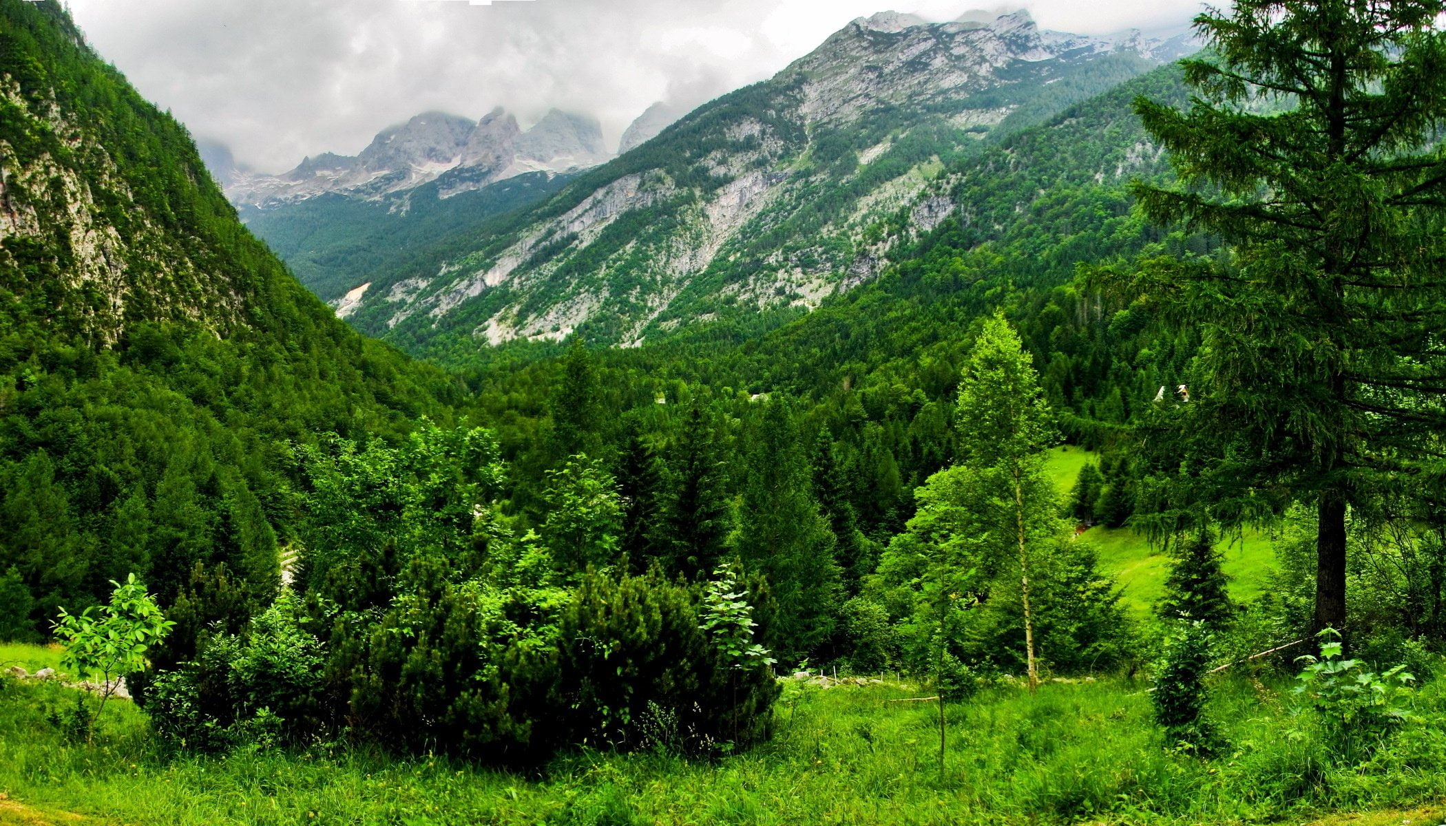 switzerland, forest, bovec, greens, mountains, 1080P, HD Wallpaper