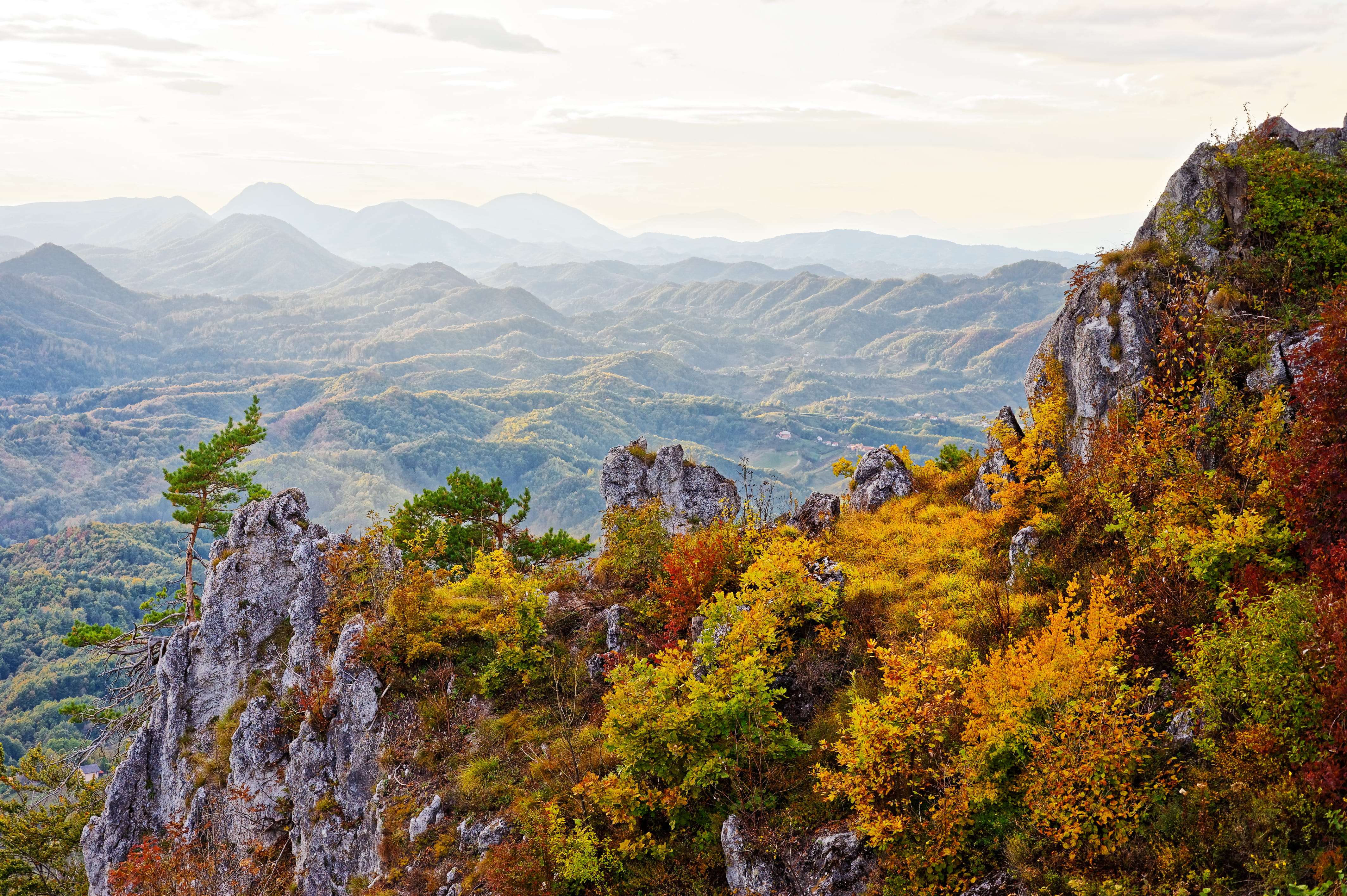 growth, formation, day, croatia, non-urban scene, change, view, outdoors, nature, planine, tree, mountains, no people, plant, sky, gora, idyllic, scenics - nature, HD Wallpaper