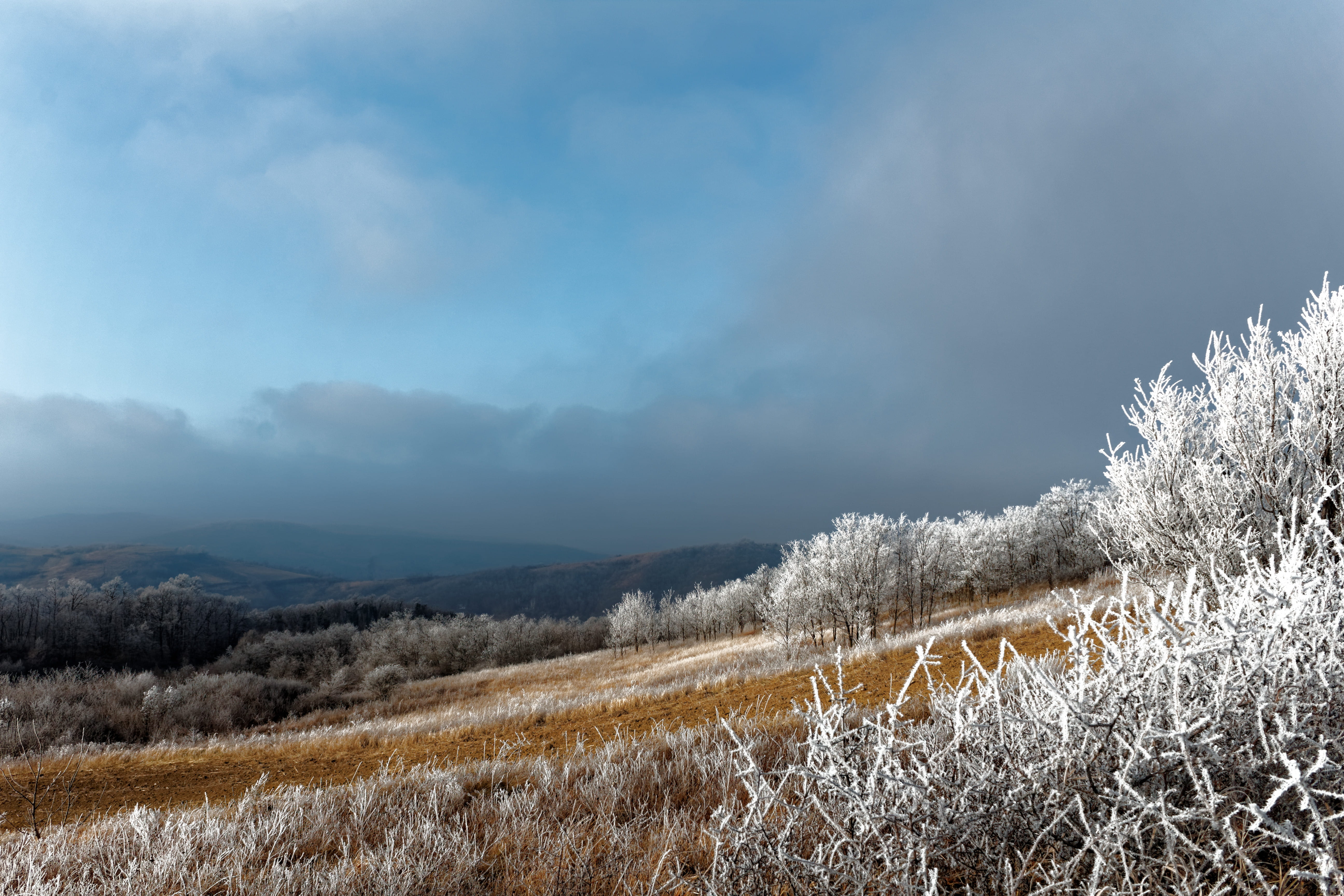 snow, non-urban scene, beauty in nature, winter, cold temperature, land, tranquility, no people, 5K, outdoors, tranquil scene, trees, sky, landscape, frost, HD Wallpaper