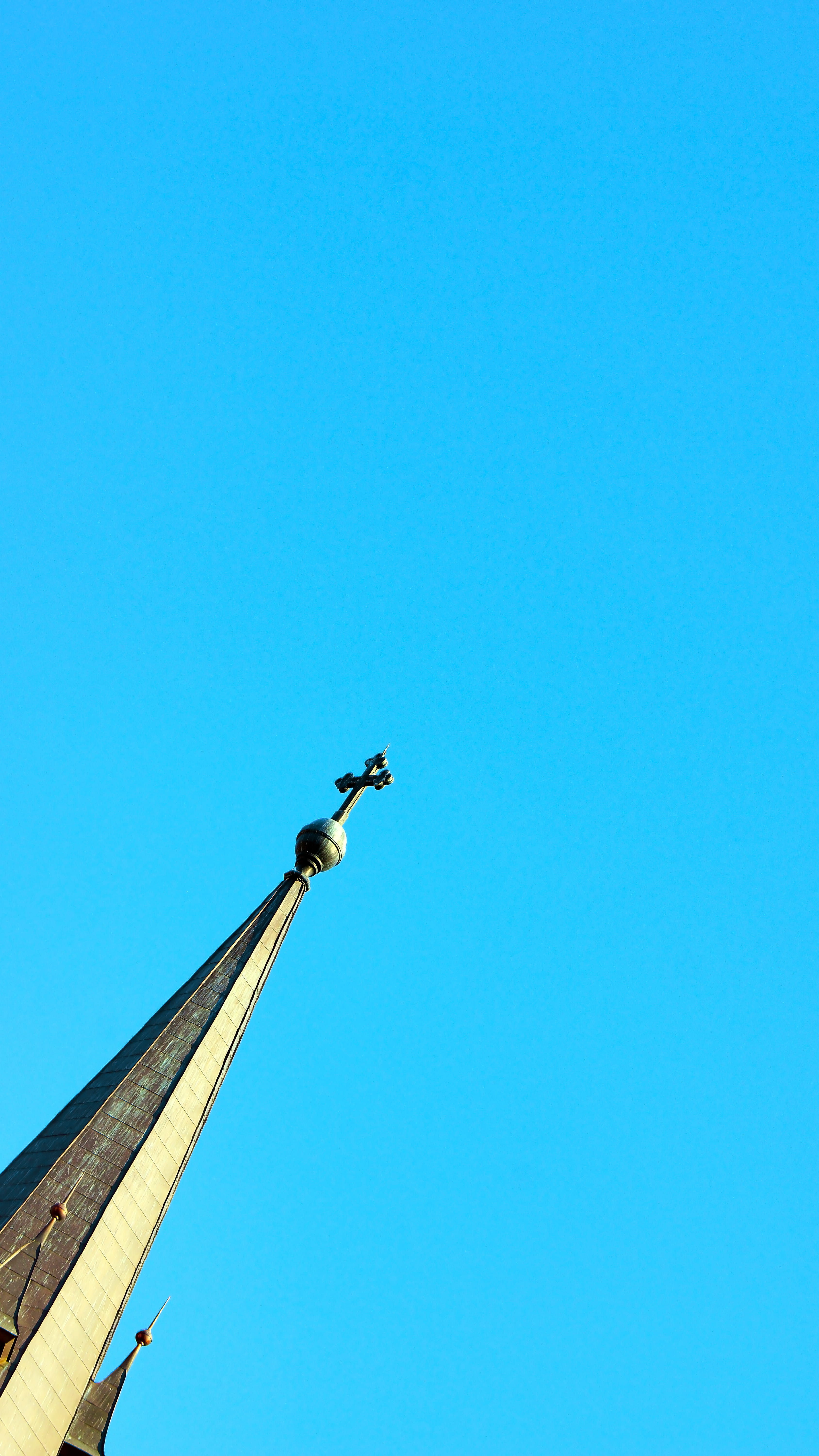 clear sky, nature, no people, animal, celje, copy space, slovenia, 5K, outdoors, bird, flying, animal wildlife, one animal, sky, vertebrate, architecture, Phone HD Wallpaper