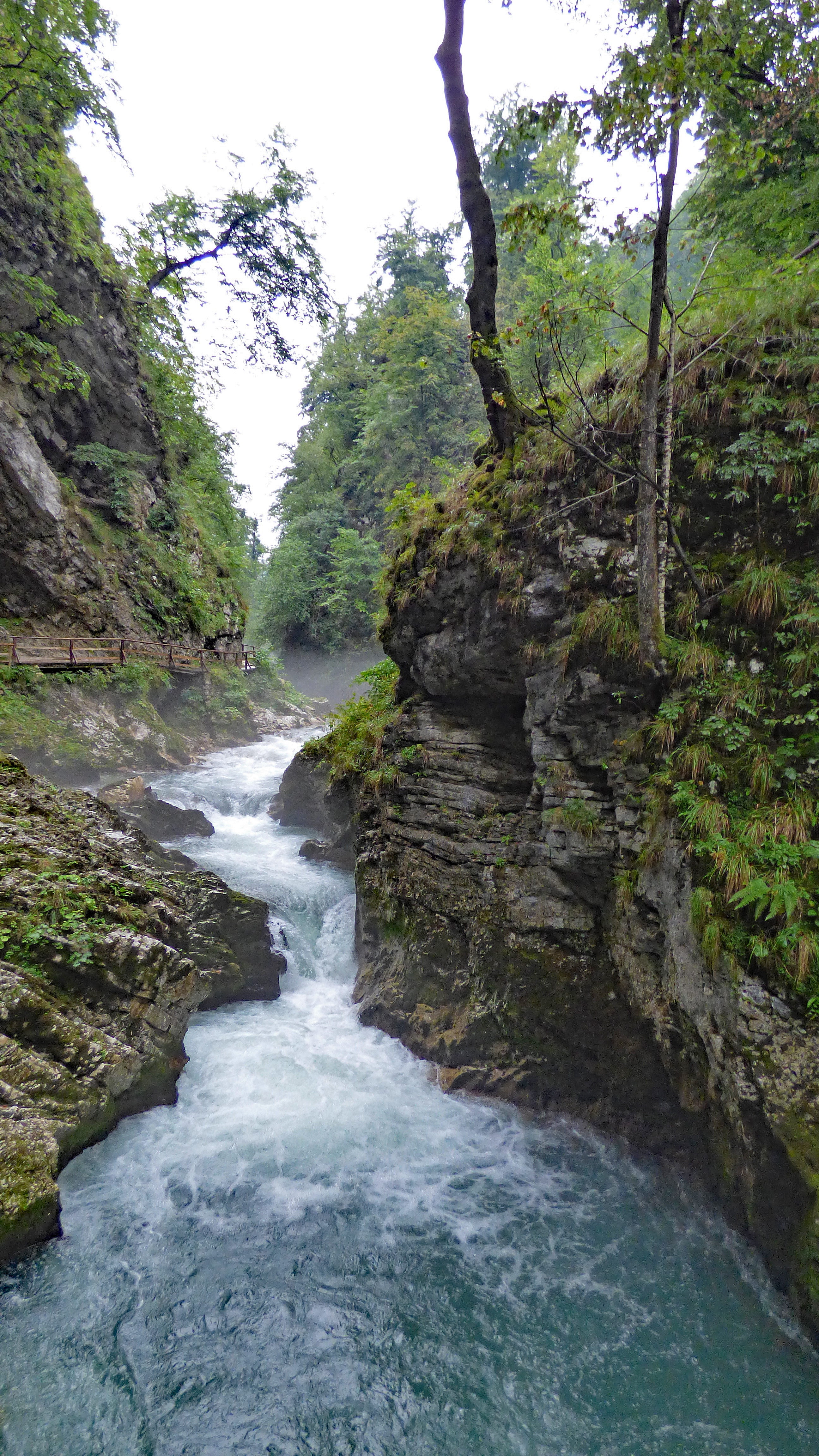 beauty in nature, flowing, bled, rainforest, plant, blurred motion, day, water, radovna, river, scenics - nature, waterfall, power in nature, rock, flowing water, Phone HD Wallpaper