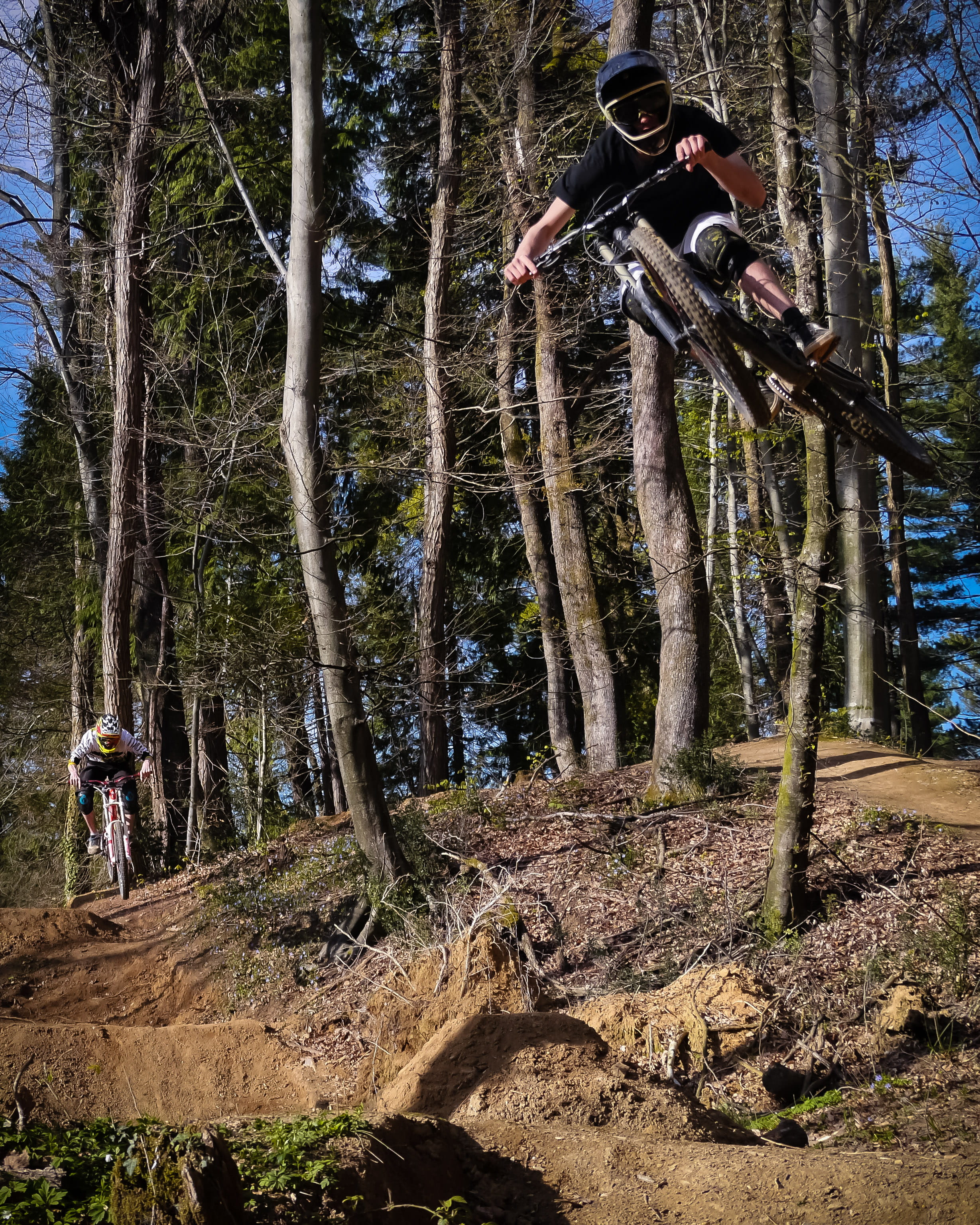 flora, transportation, path, jump, man, air, adult, day, tree trunk, bike, men, vegetation, sport, woodland, lifestyles, downhill, land, nature, black, Phone HD Wallpaper