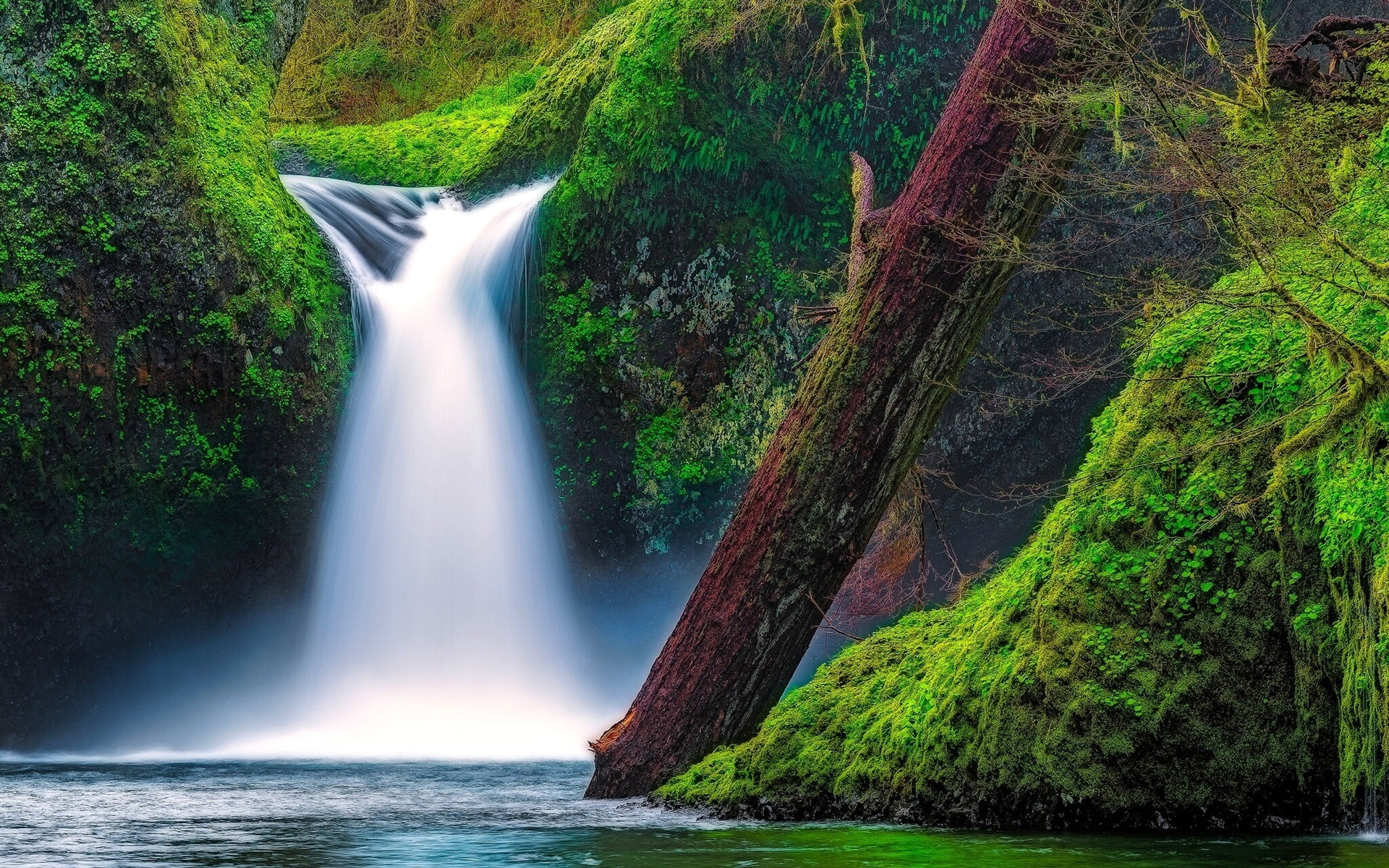 Moss, Creek, Falls, Bowl, USA, 1080P, Punch, River, Columbia, Oregon, Gorge, Eagle, HD Wallpaper