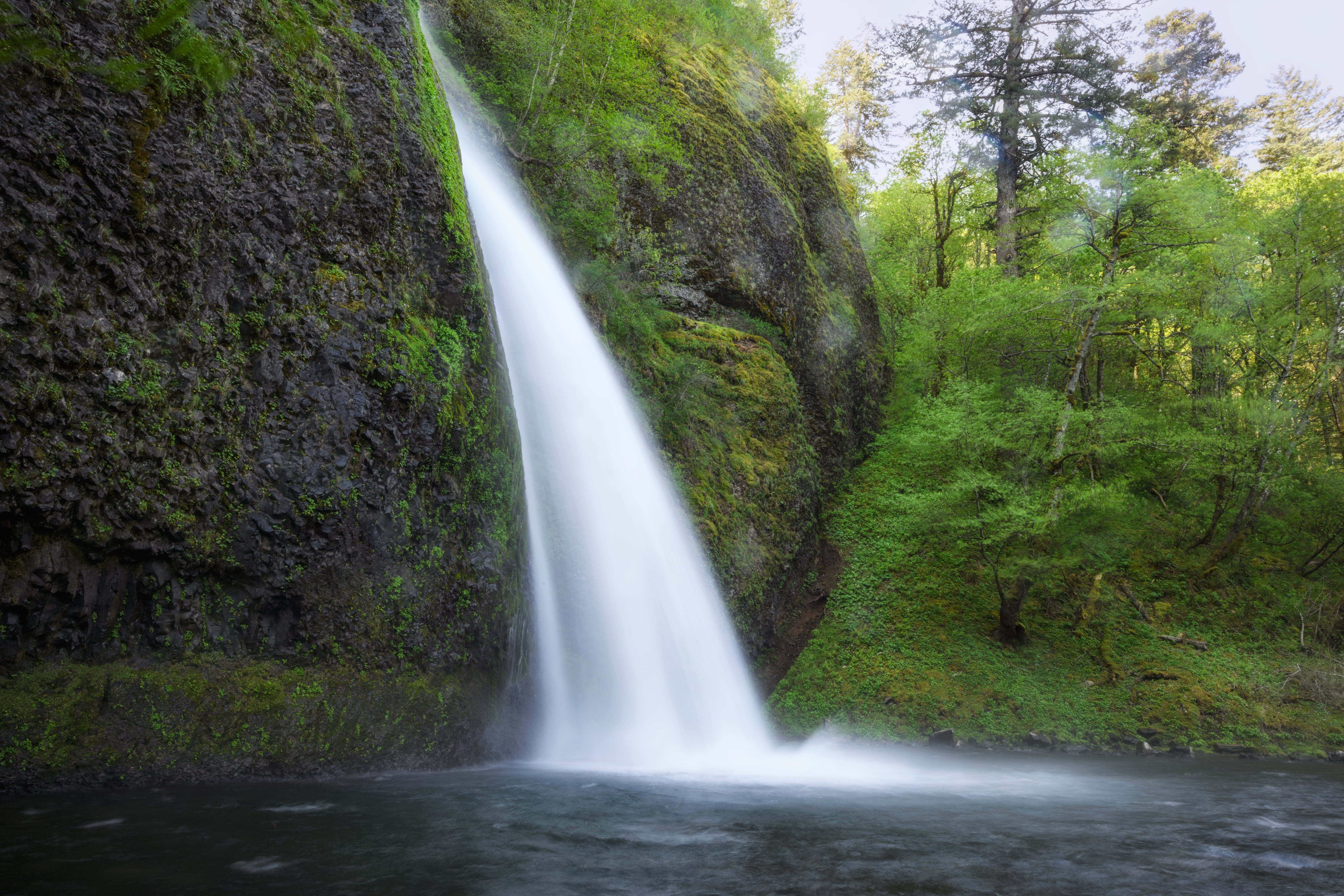 outdoors, Horsetail Falls, waterfall, waterfalls, scenics, Pacific Northwest, near, National S, national, 5K, scenic, tree, long exposure, gorge, water, HD Wallpaper