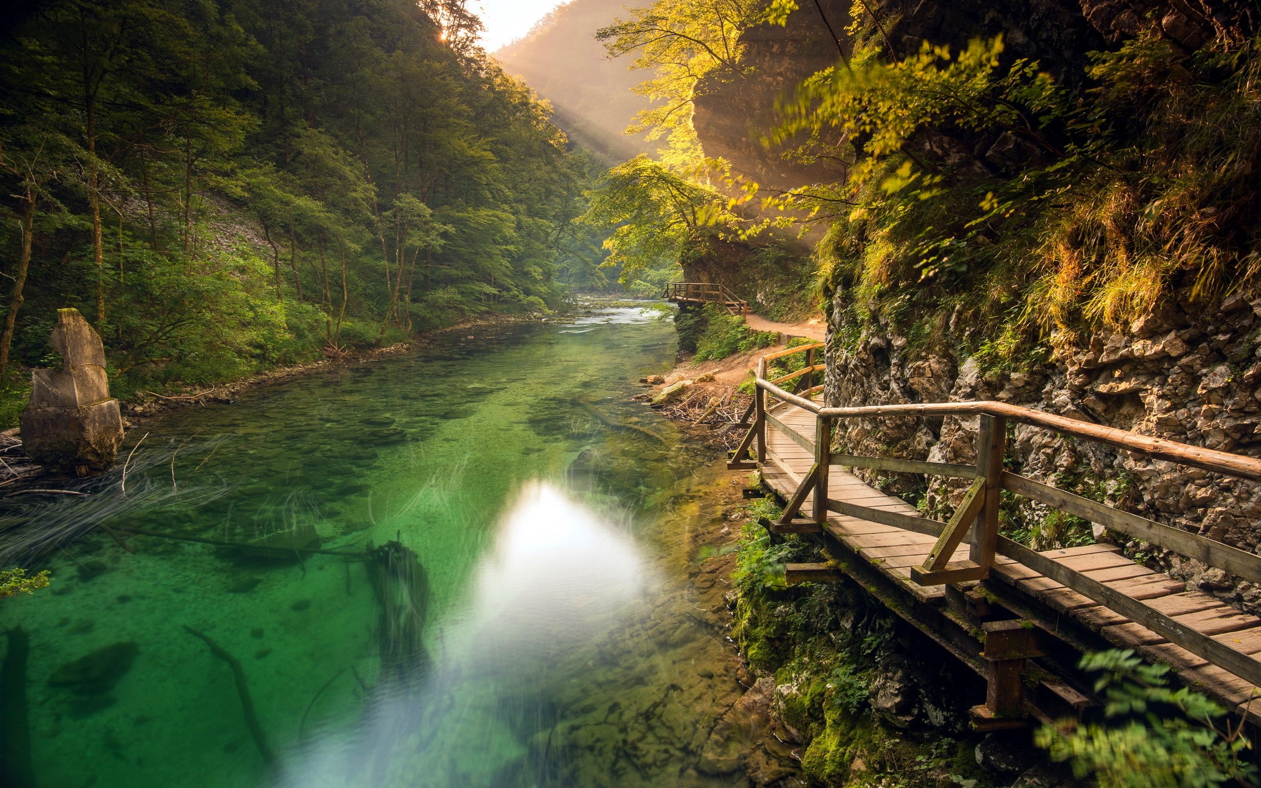 1080P, landscape, river, shrubs, mountains, Slovenia, path, sun rays, forest, walkway, nature, HD Wallpaper