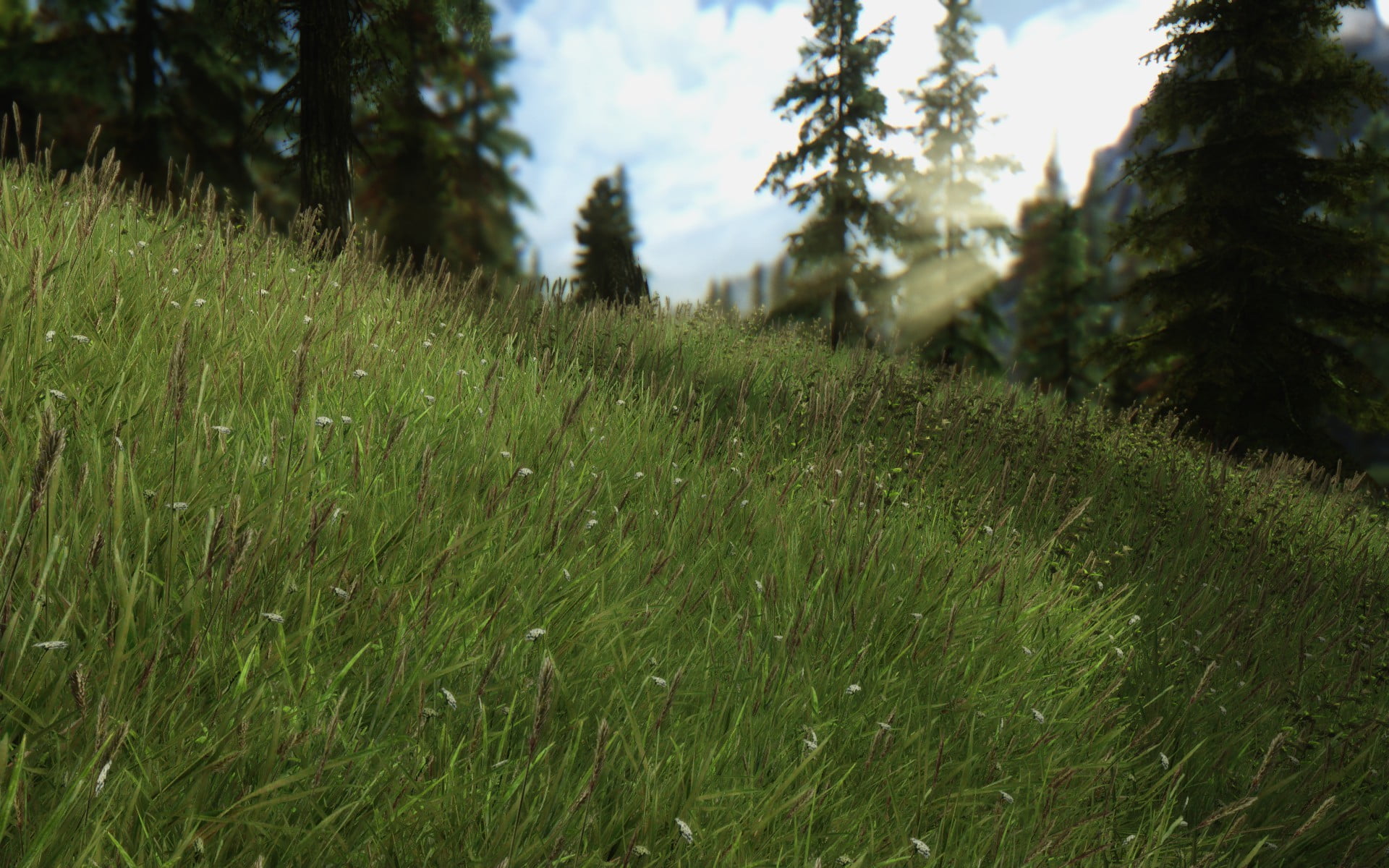 tranquil scene, landscape, tranquility, green color, forest, day, scenics - nature, nature, field, non-urban scene, grass, pine tree, no people, The Elder Scrolls V: Skyrim, HD Wallpaper