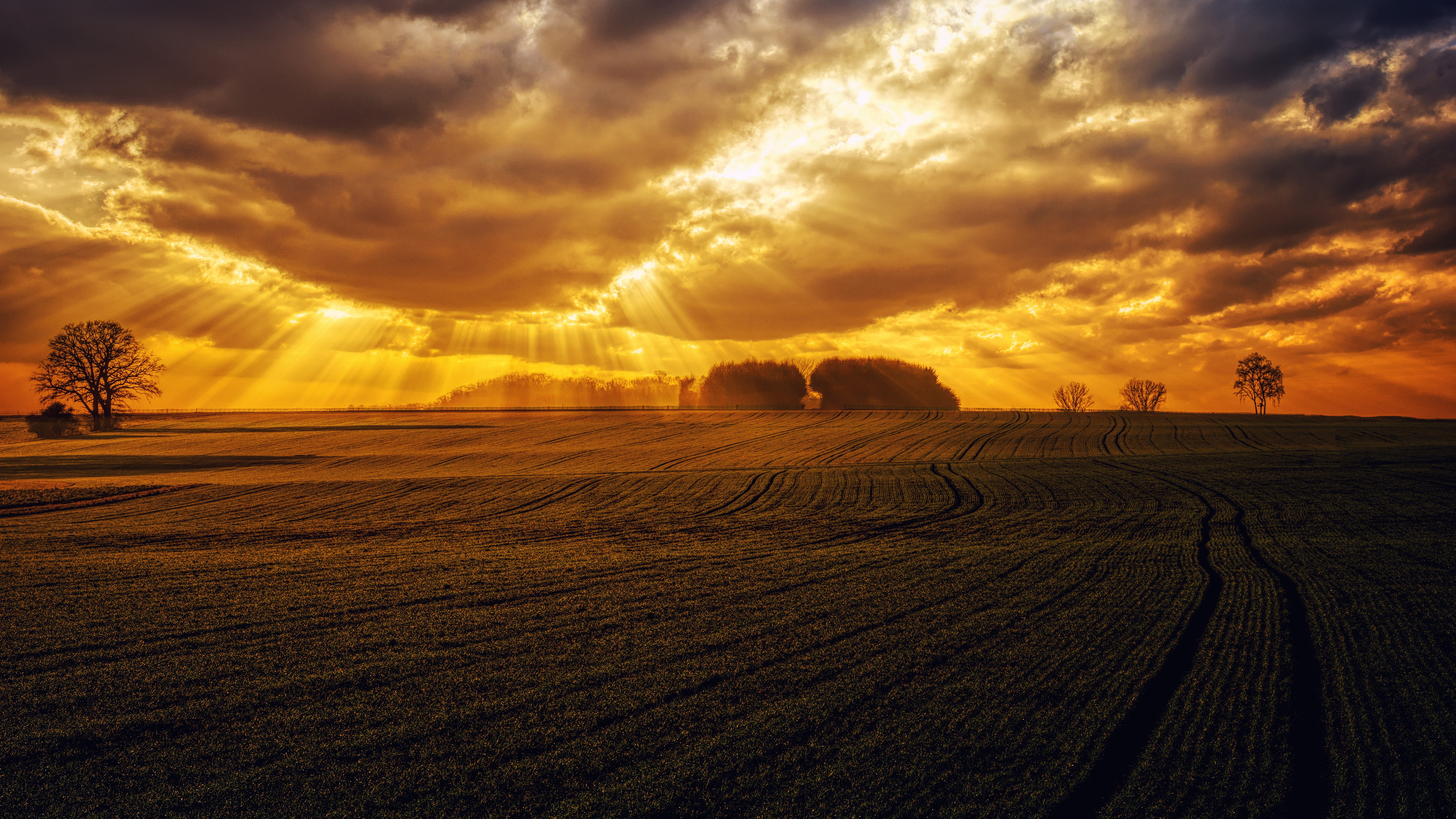 romantic, outdoors, no people, dusk, green, field, evening sky, environment, sunrise, rural scene, scenics - nature, mood, evening light, cloud - sky, sky, HD Wallpaper