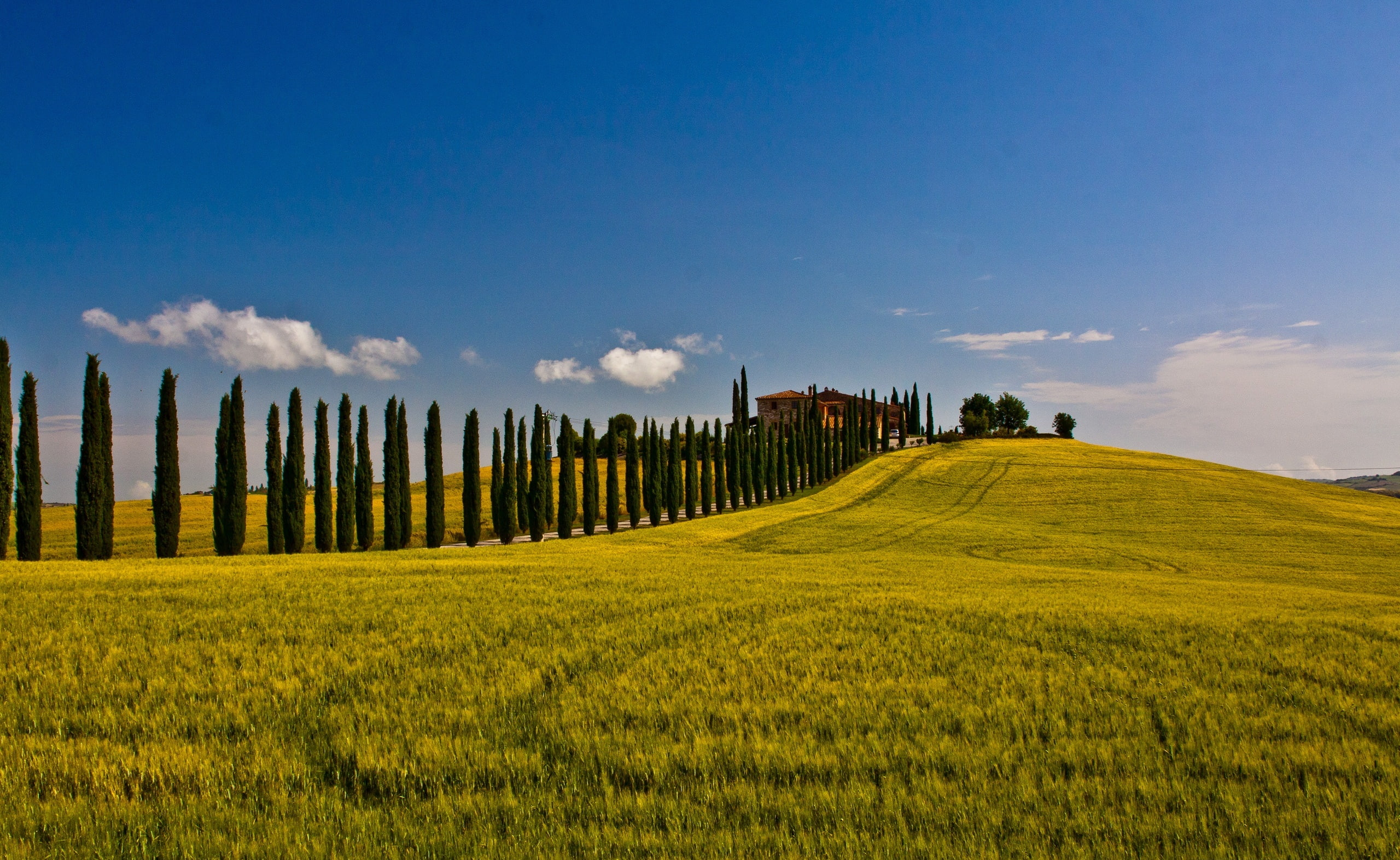 Field, outdoors, grass, beauty in nature, Scene, scenics - nature, sky, rolling landscape, Road, Summer, 2K, cloud - sky, rural scene, architecture, Nature, HD Wallpaper