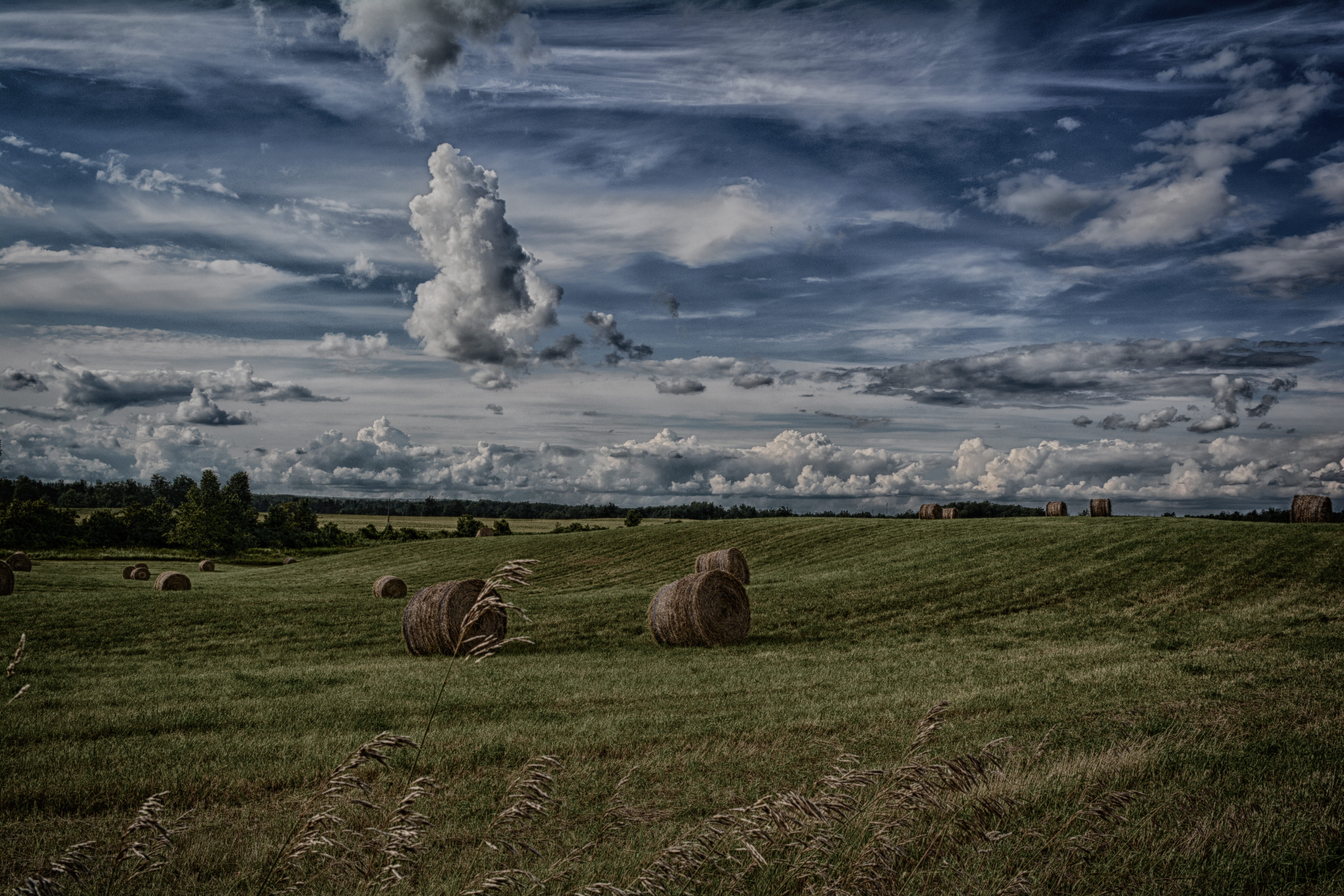 outdoors, bale, field, scenics - nature, rural scene, filed, grass, tranquility, cloudscape, hay, day, beside, environment, green, agriculture, tranquil scene, HD Wallpaper