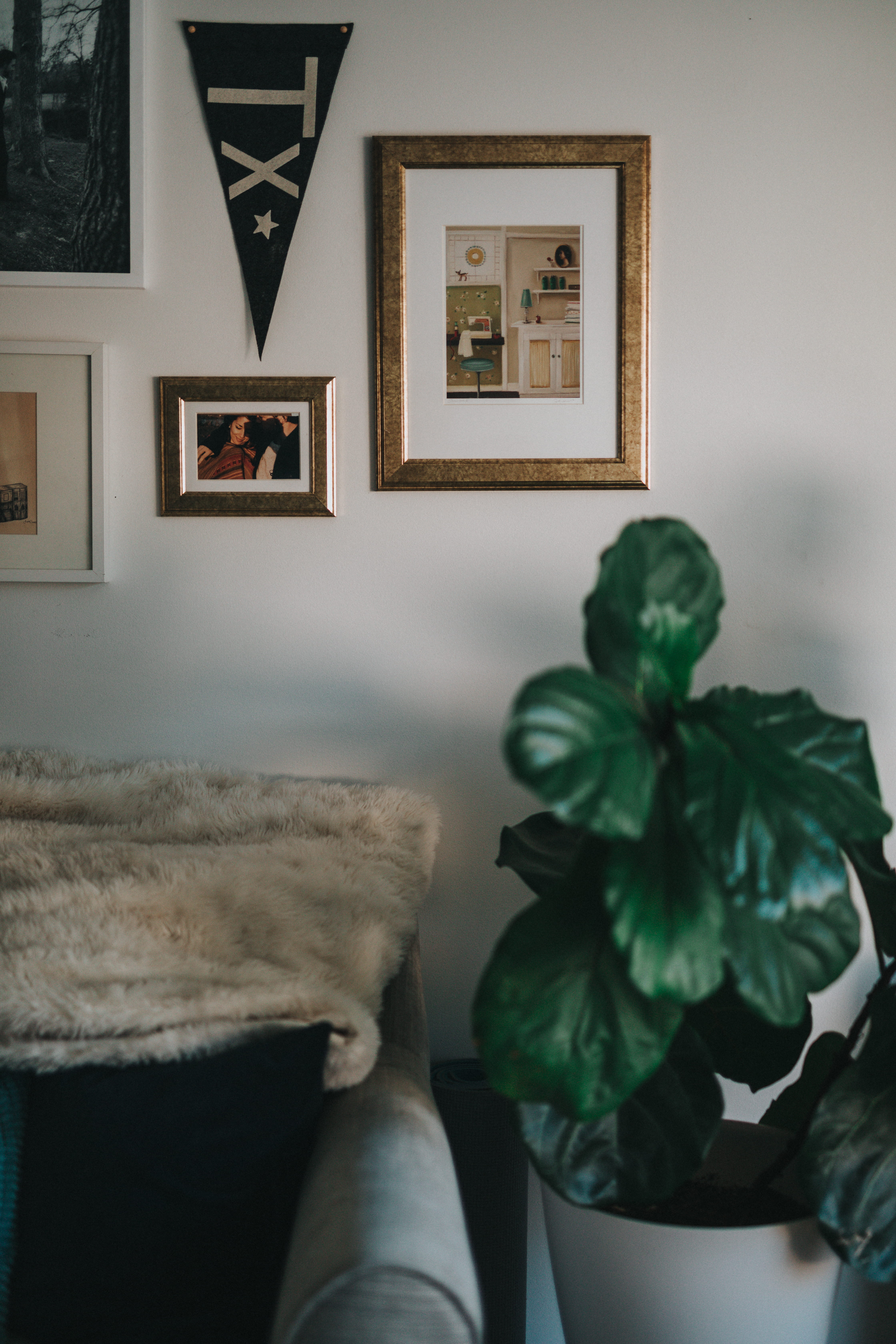 photo, frame, paintings, fur, paint, leafed, potted plant, green, art and craft, 5K, furniture, plant, indoors, potted, living place, real people, interior design, Phone HD Wallpaper