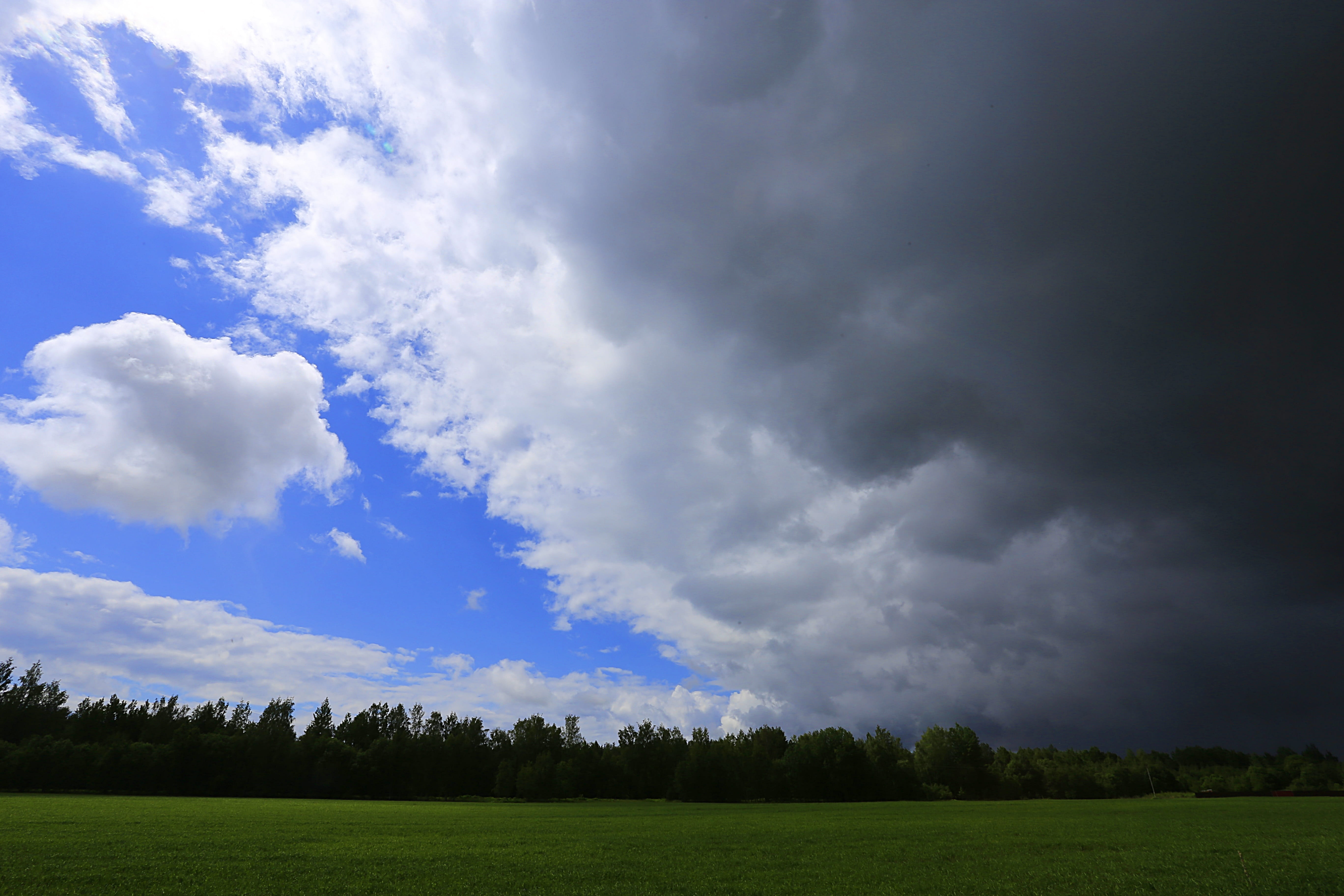 nature, non-urban scene, mood, green color, 5K, ominous, land, russia, plant, living nature, landscape, blue, cloud - sky, tree, tranquility, beauty in nature, HD Wallpaper