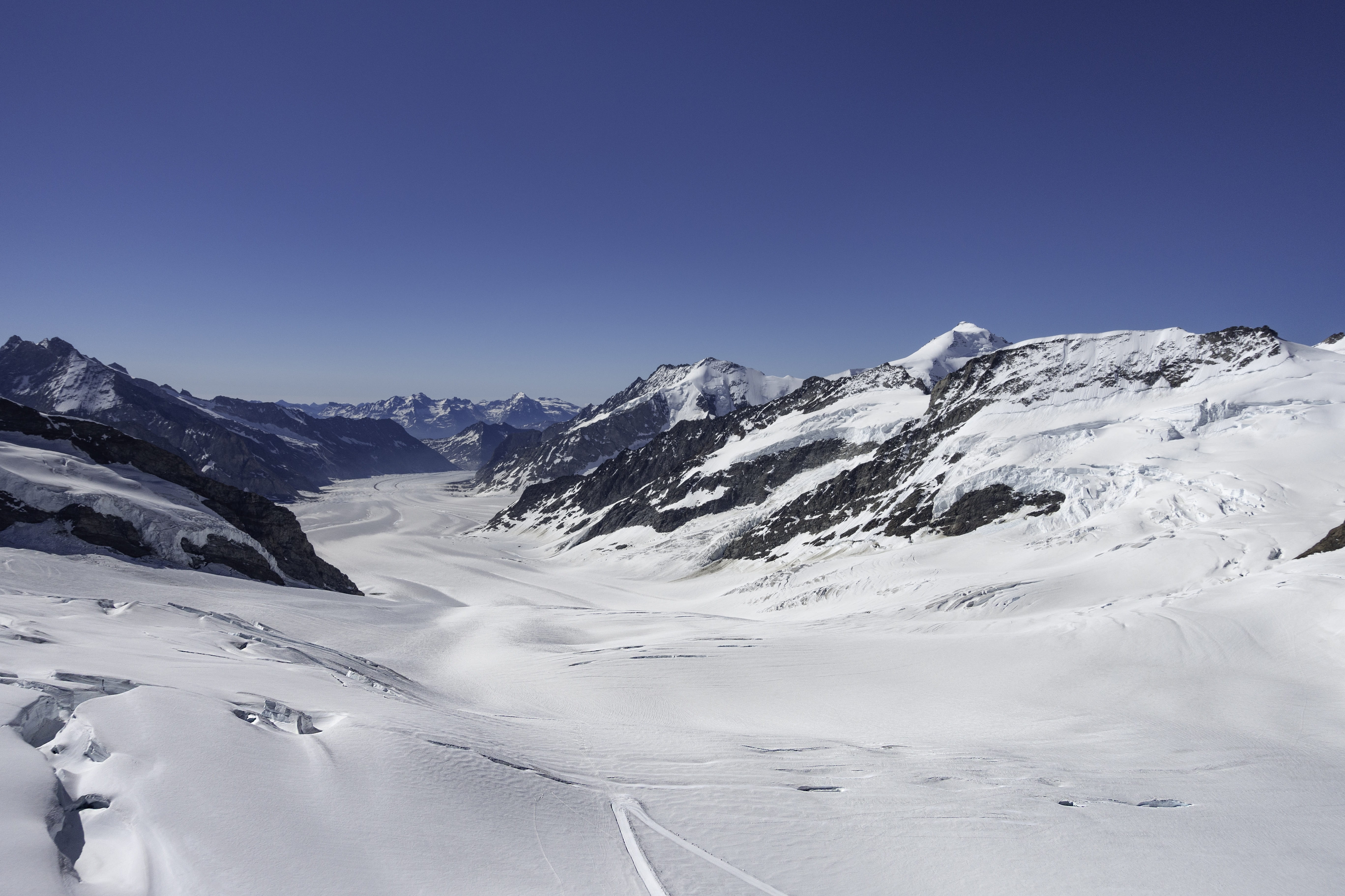 winter, 5K, copy space, sky, beauty in nature, pine tree, jungfraujoch, outdoors, scenics - nature, coniferous tree, no people, cold temperature, non-urban scene, HD Wallpaper