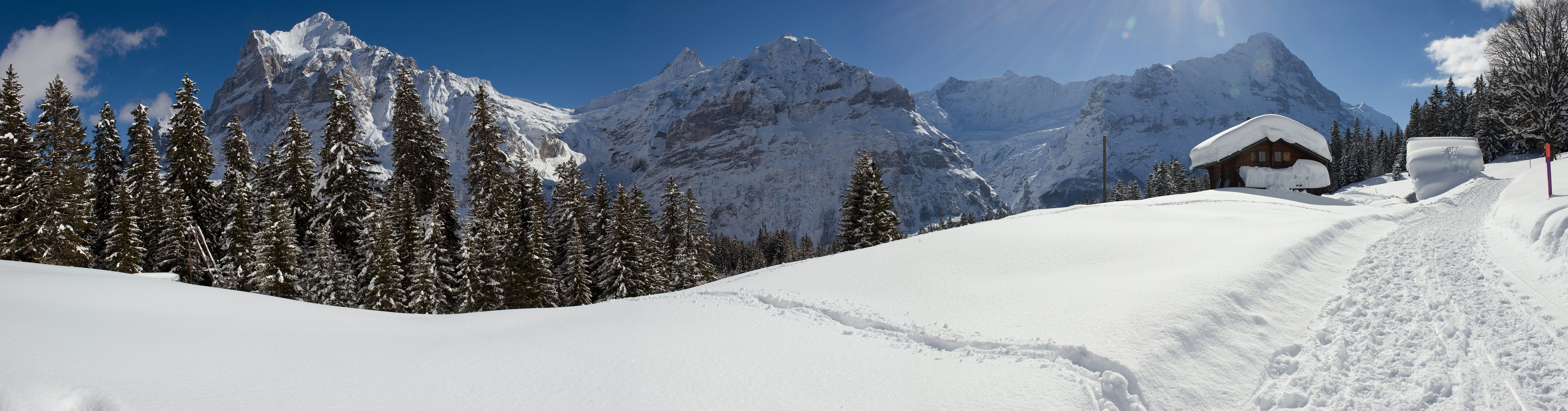 snow, no people, eiger, mountain landscape, wintry, white, built structure, evergreen tree, snowing, coniferous tree, outlook, tree, mountain, hike, environment, HD Wallpaper