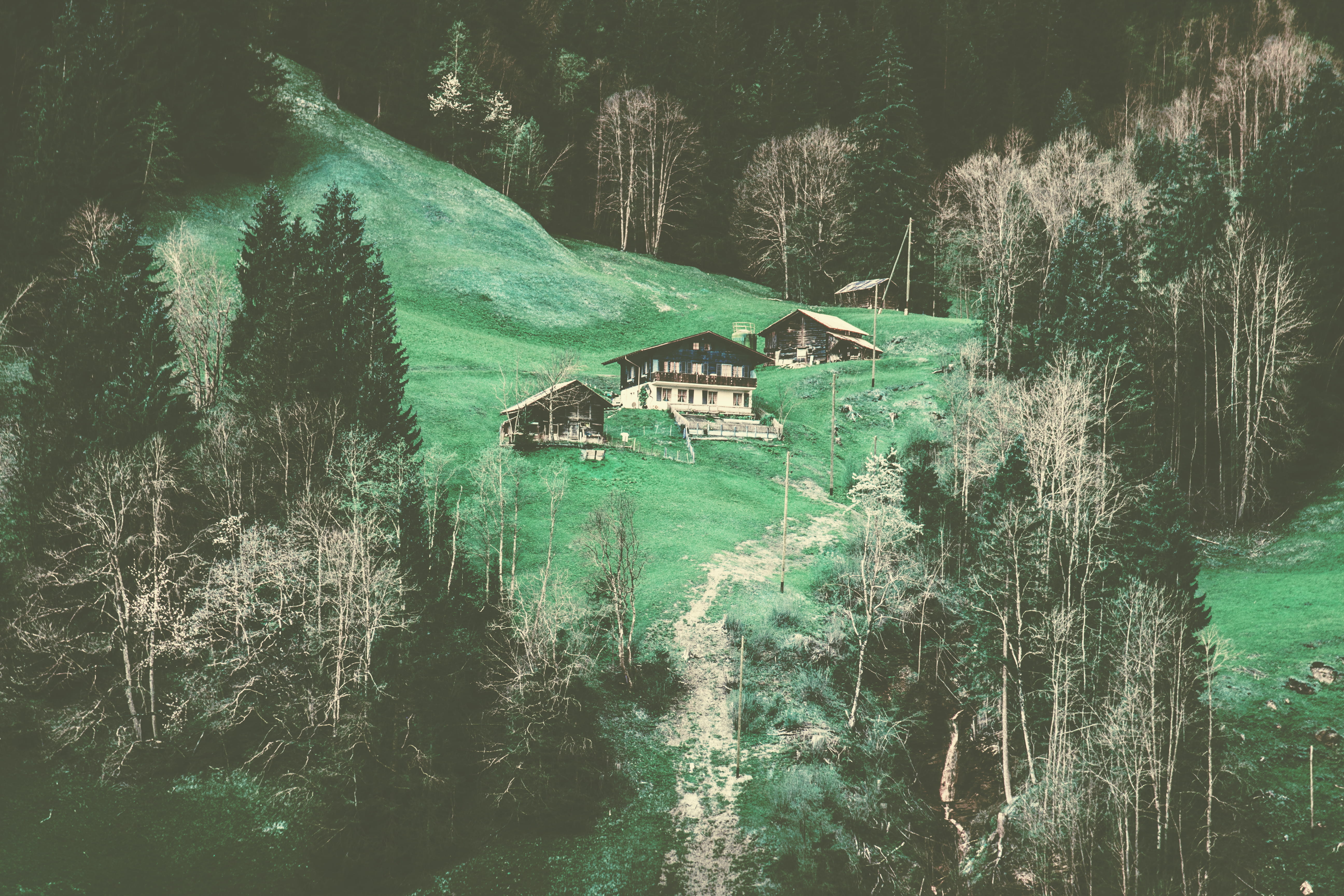 nature, houses, hut, tree, forest, outdoors, switzerland, growth, 5K, trees, adventure, building, explore, grindelwald, water, plant, house, alps, built structure, HD Wallpaper