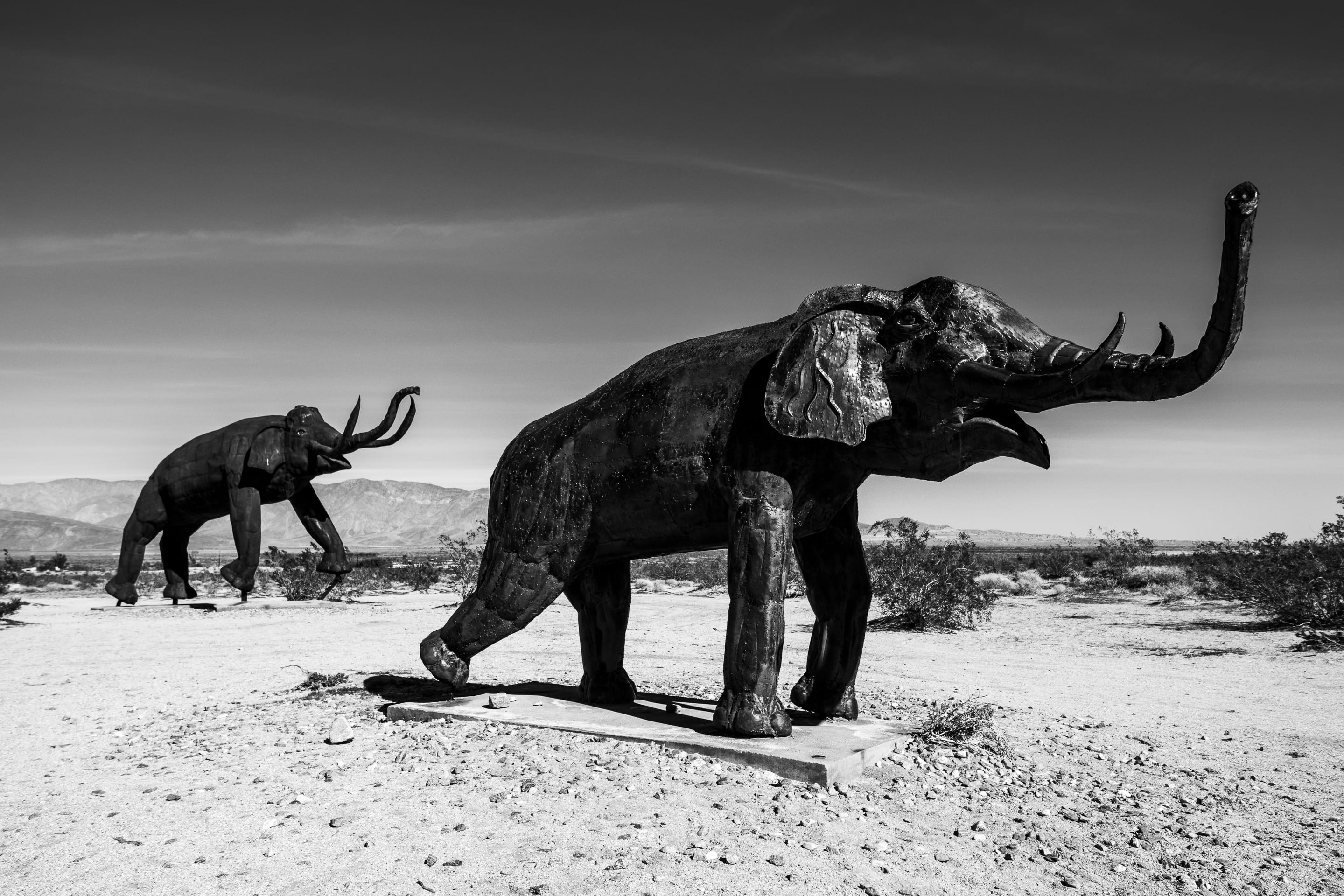 mammal, sky, wildlife, outdoors, Overland, statue, domestic animals, animal, 2K, art and craft, warthog, black and white, silhouette, Sculpture, bull, HD Wallpaper