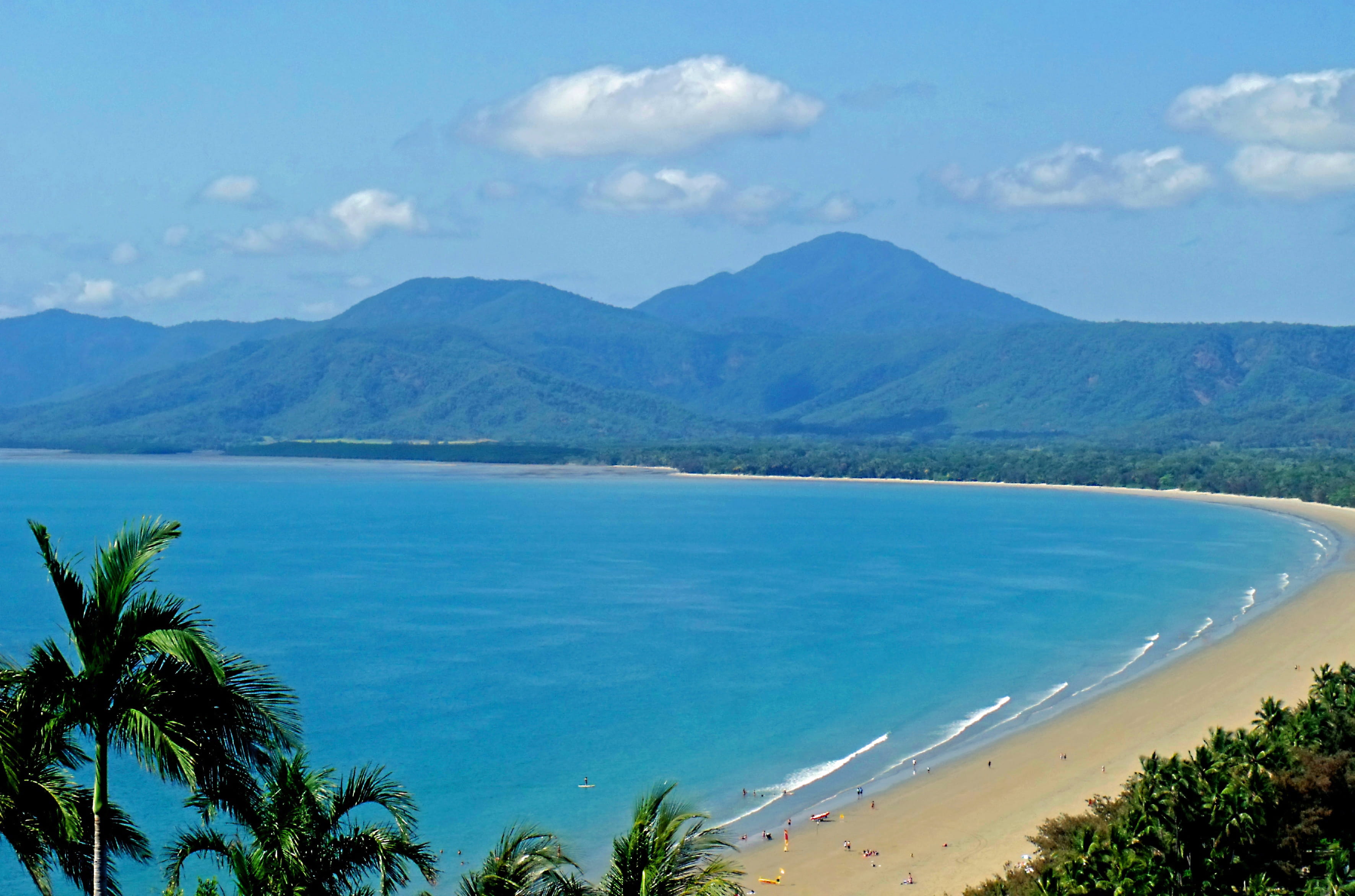 four mile beach, beach, outdoors, day, port douglas, plant, australia, cloud - sky, land, nature, blue, david clode, 2K, tropical climate, seascaope, scenics - nature, HD Wallpaper