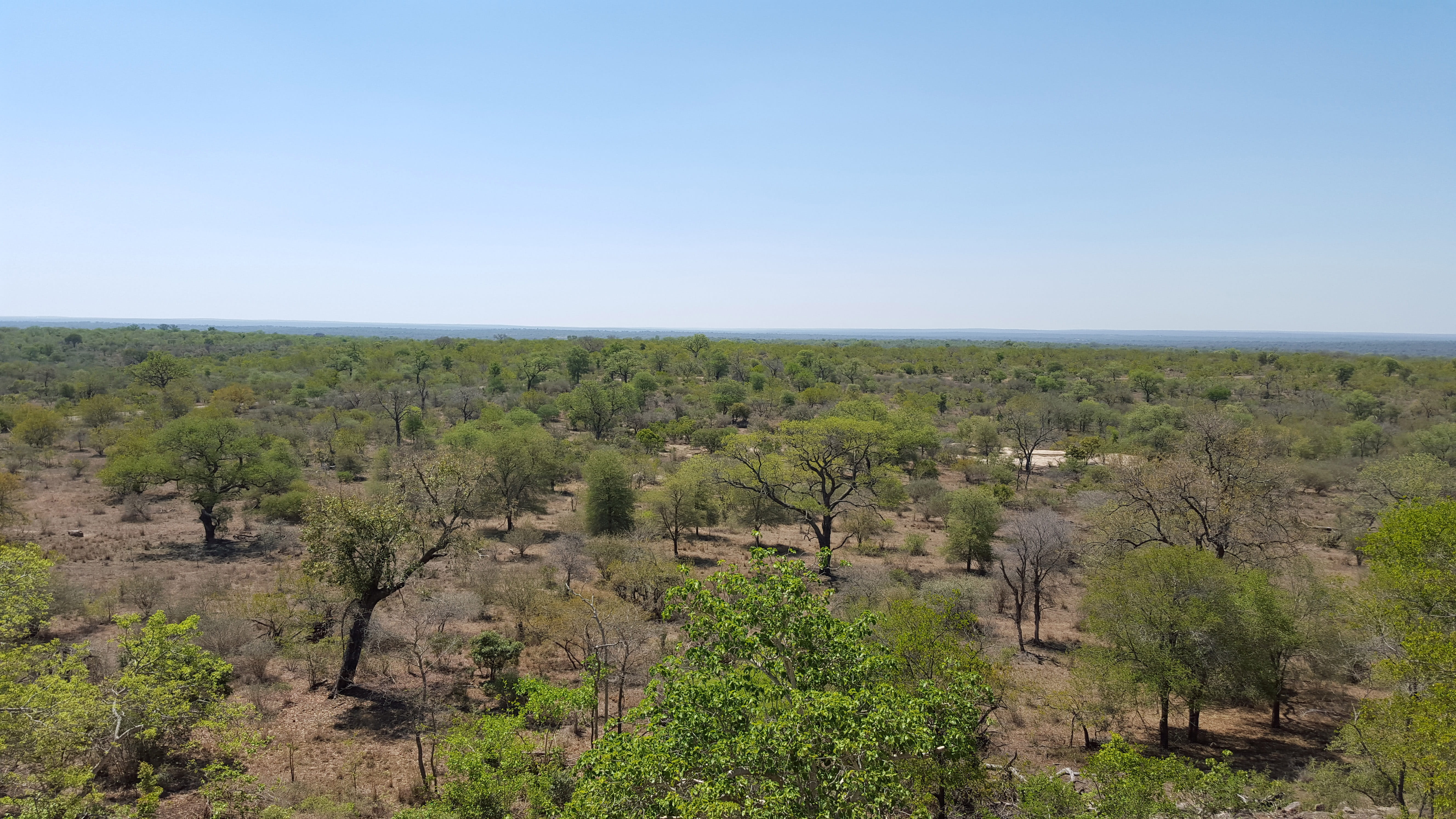 public domain, non-urban scene, arid climate, animals in the wild, travel Locations, scenics - nature, south, Landscape, outdoors, horizon over land, blue, HD Wallpaper