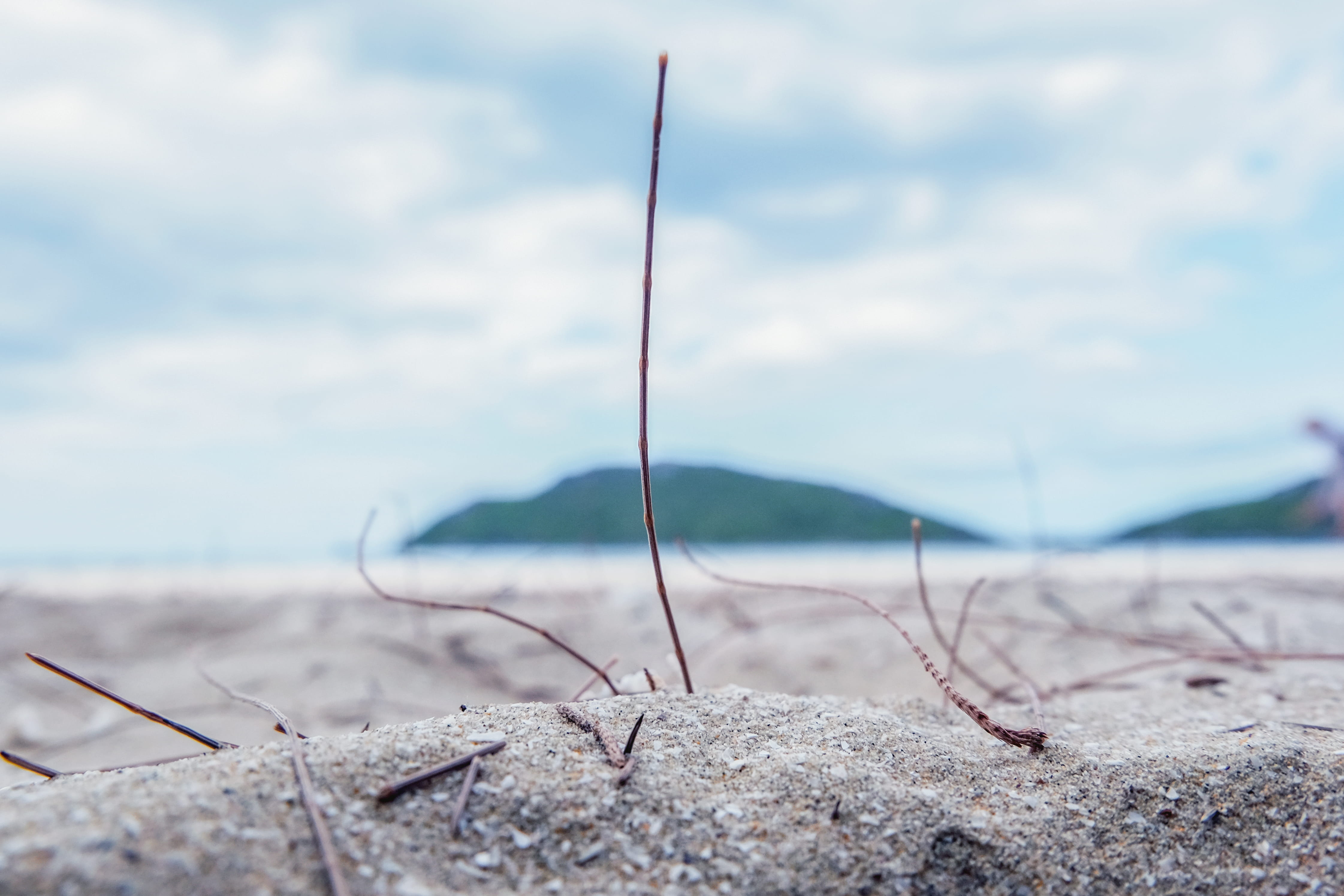 selective focus, beach, sky, plant, 4K, khao sam roi yot national park, beauty in nature, thailand, land, outdoors, nature, sand, scenics - nature, no people, HD Wallpaper