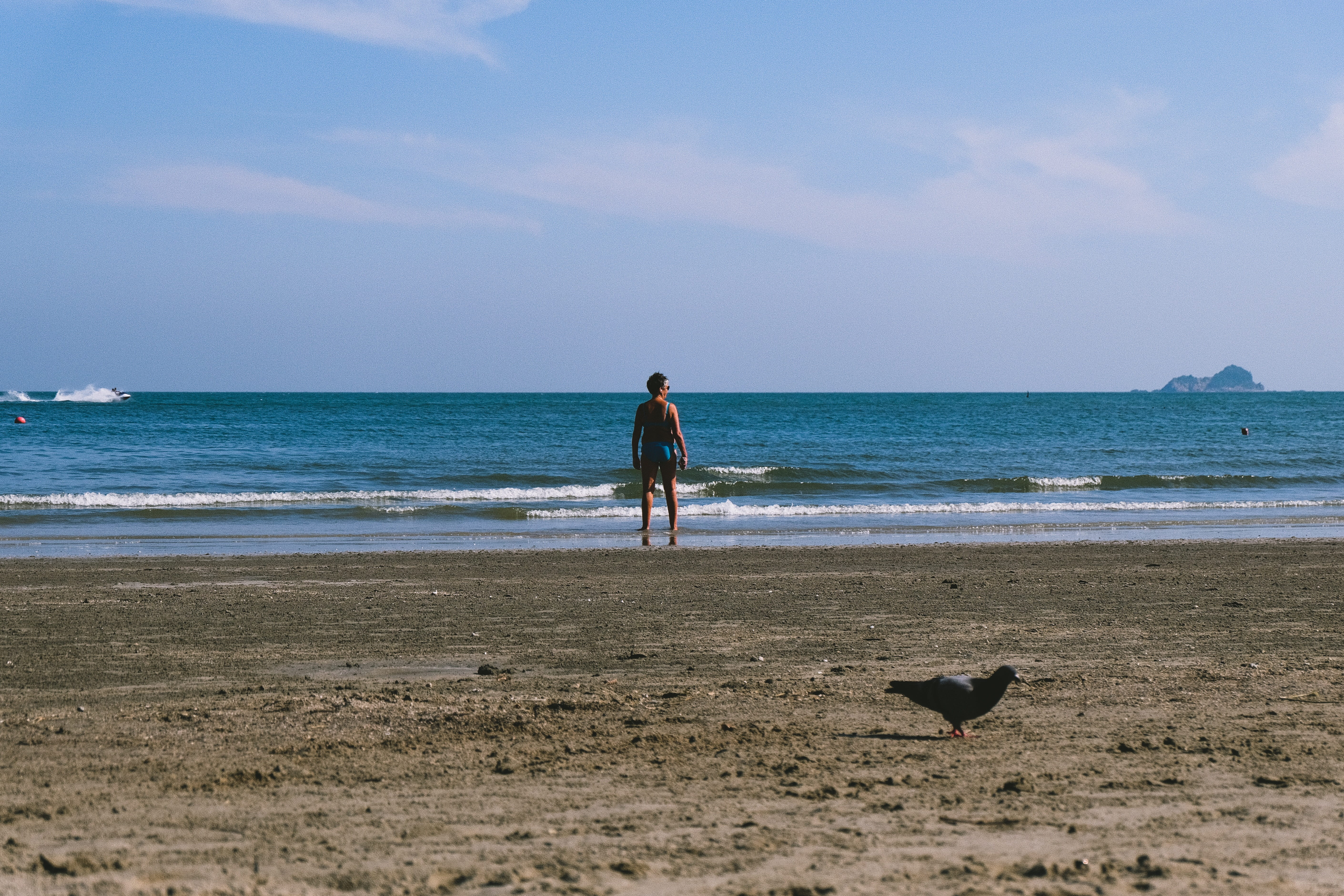 man, coast, shore, horizon, full length, sand, skin, shoreline, one animal, shorts, vertebrate, one person, หัวหิน, animal themes, beach, bird, trip, daytime, HD Wallpaper