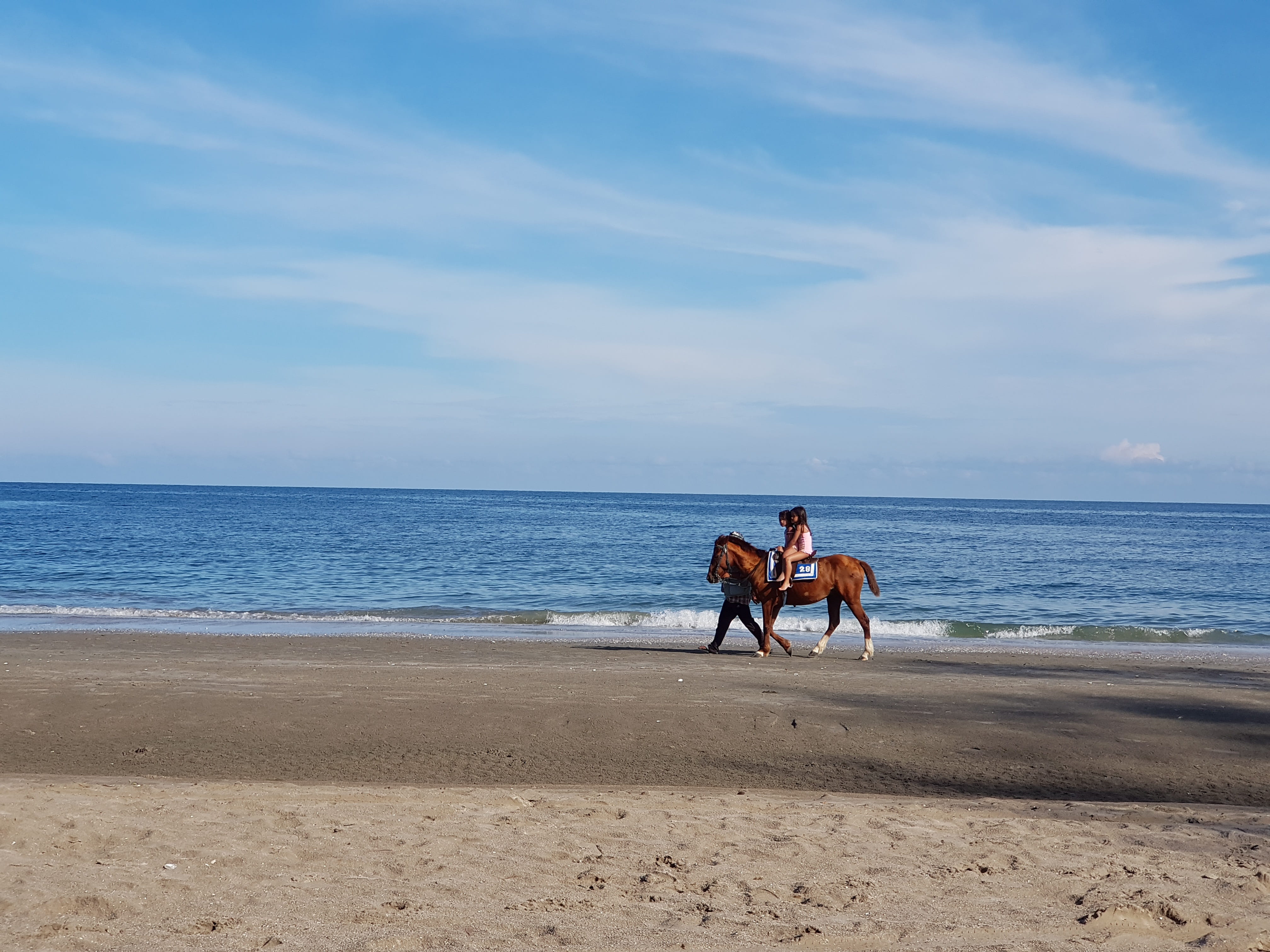 animal wildlife, seashore, domestic animals, horse, tour, sandy beach, horse riding, prachuap khiri khan, hua hin, land, horizon over water, sea, nature, HD Wallpaper