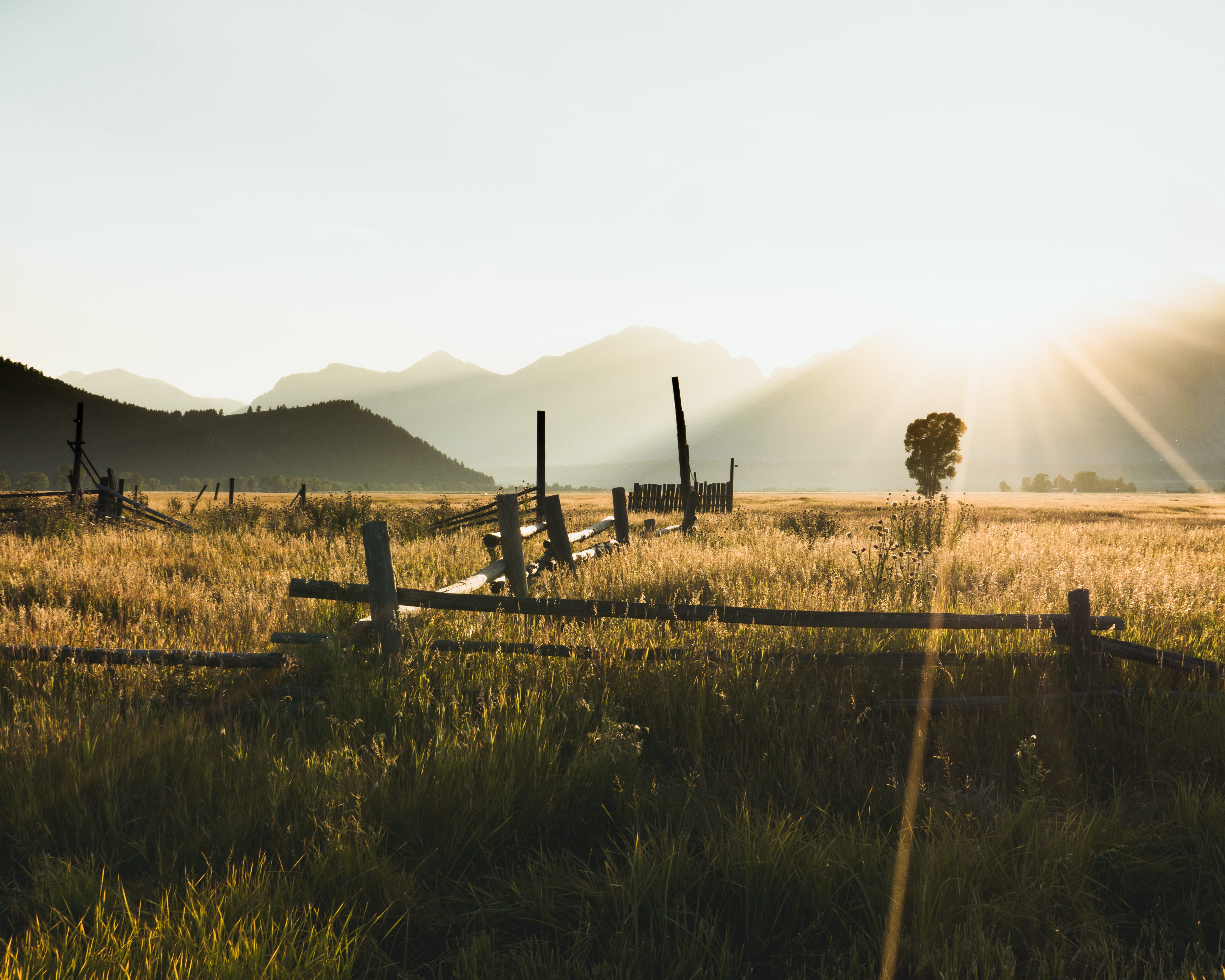 united states, sky, mormon row, tranquility, nature, lens flare, tetons, grand teton national park, tranquil scene, flora, bright, scenics - nature, beauty in nature, HD Wallpaper