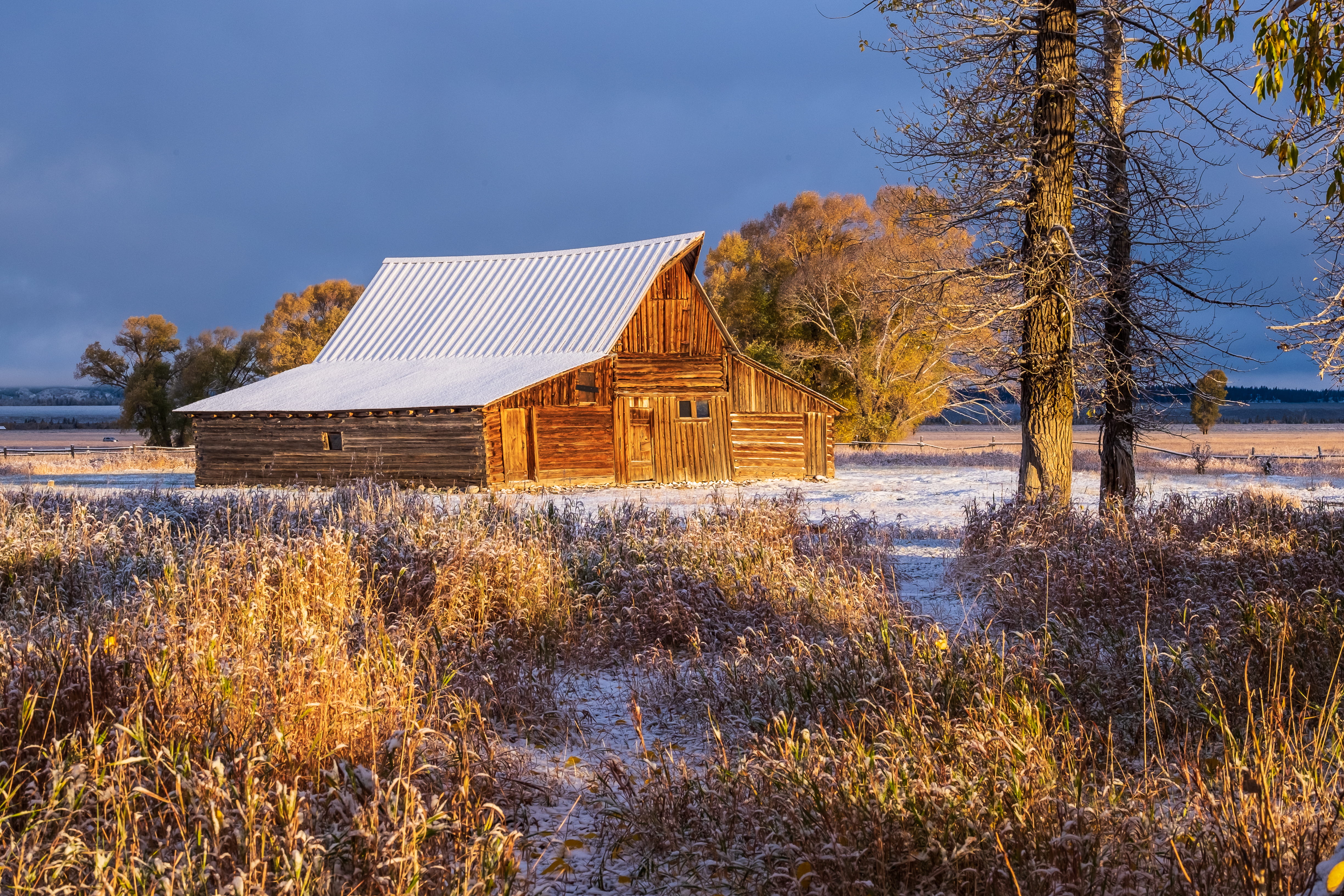 rooftop, land, field, landscape, winter, tranquility, water, rural, built structure, trees, outdoors, tree, environment, near, house, body, sunlight, shack, HD Wallpaper