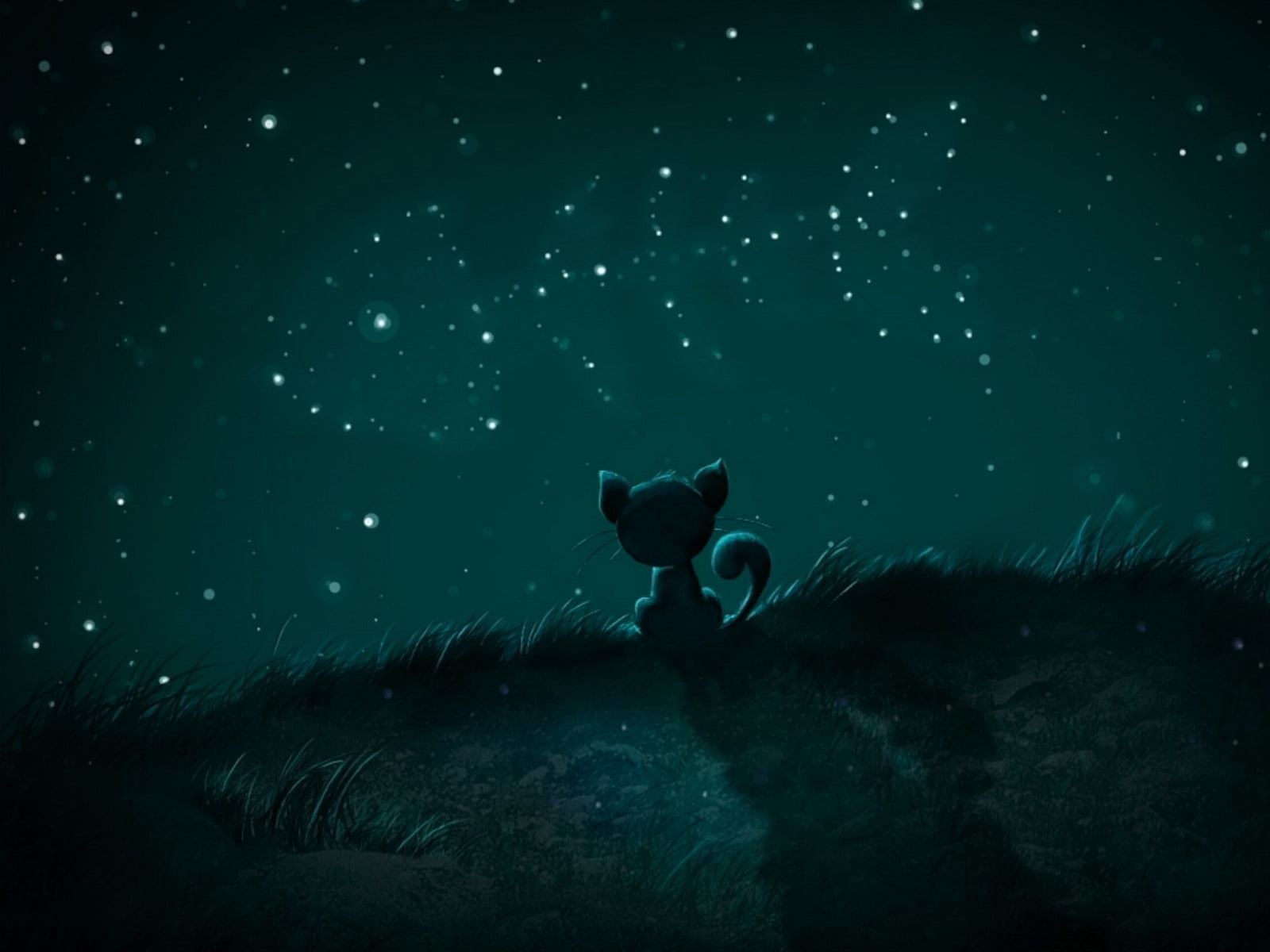 stars, cats, fish, catalunya, cartoons, 720P, HD Wallpaper