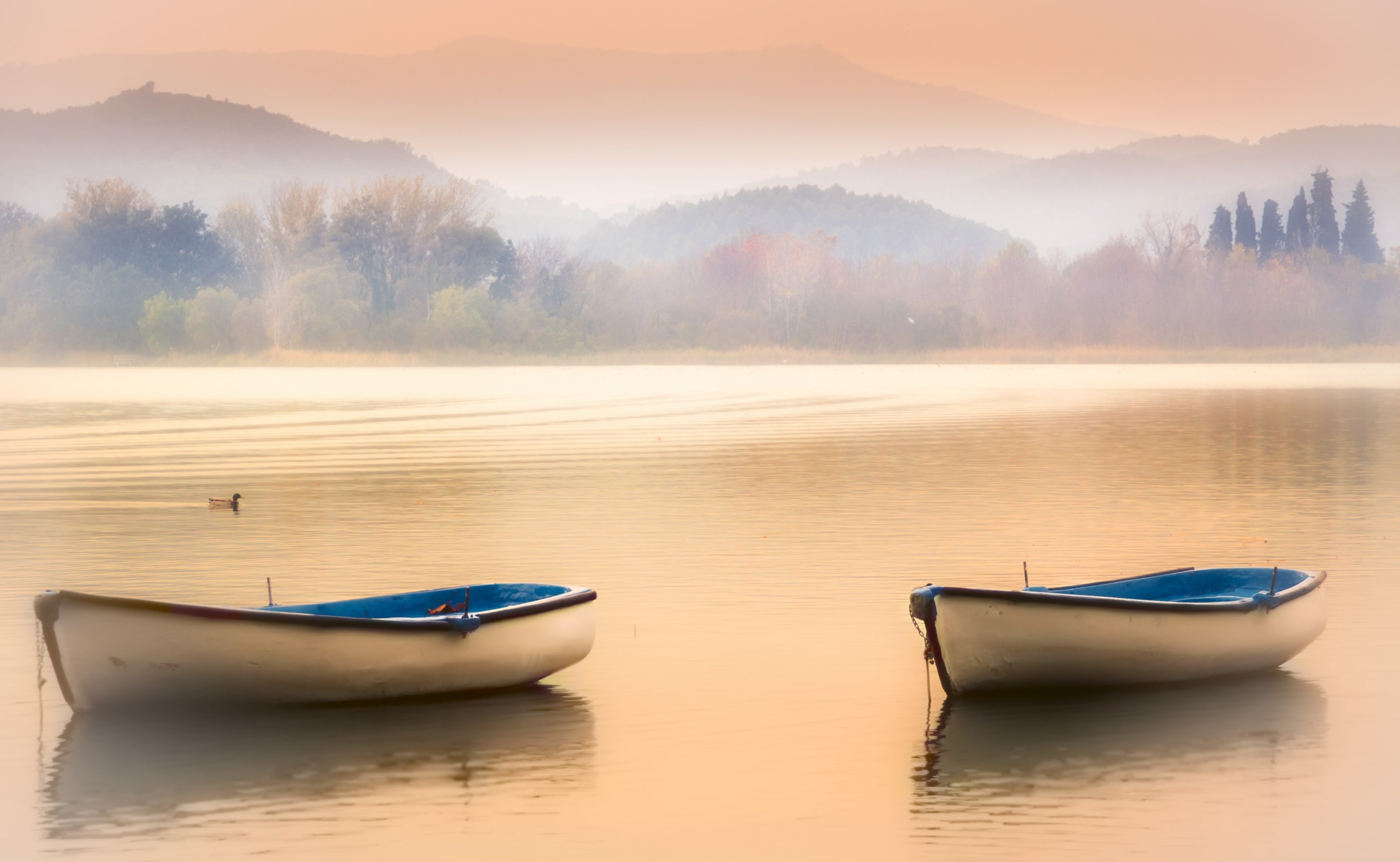 rowboat, girona, beauty in nature, afternoon, tree, Lake, tranquility, Lago, moored, idyllic, waterfront, catalunya, Spain, water, late, mode of transportation, HD Wallpaper