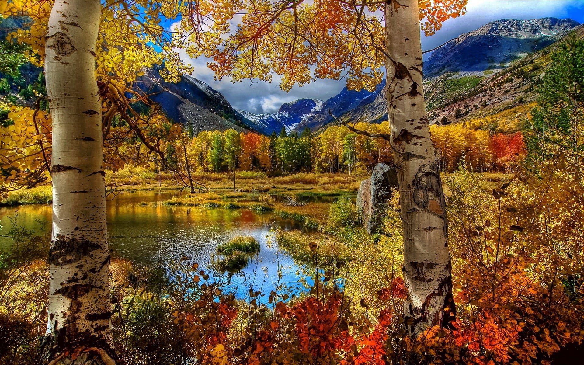 growth, yellow, idyllic, sky, travel, tree, red, national Landmark, water, plant, autumn collection, leaf, autumn, green Color, mountains, change, multi Colored, HD Wallpaper
