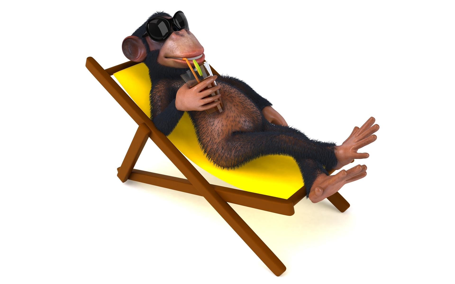 1080P, vacation, summer, drink, monkey, relax, 3d and abstract, HD Wallpaper