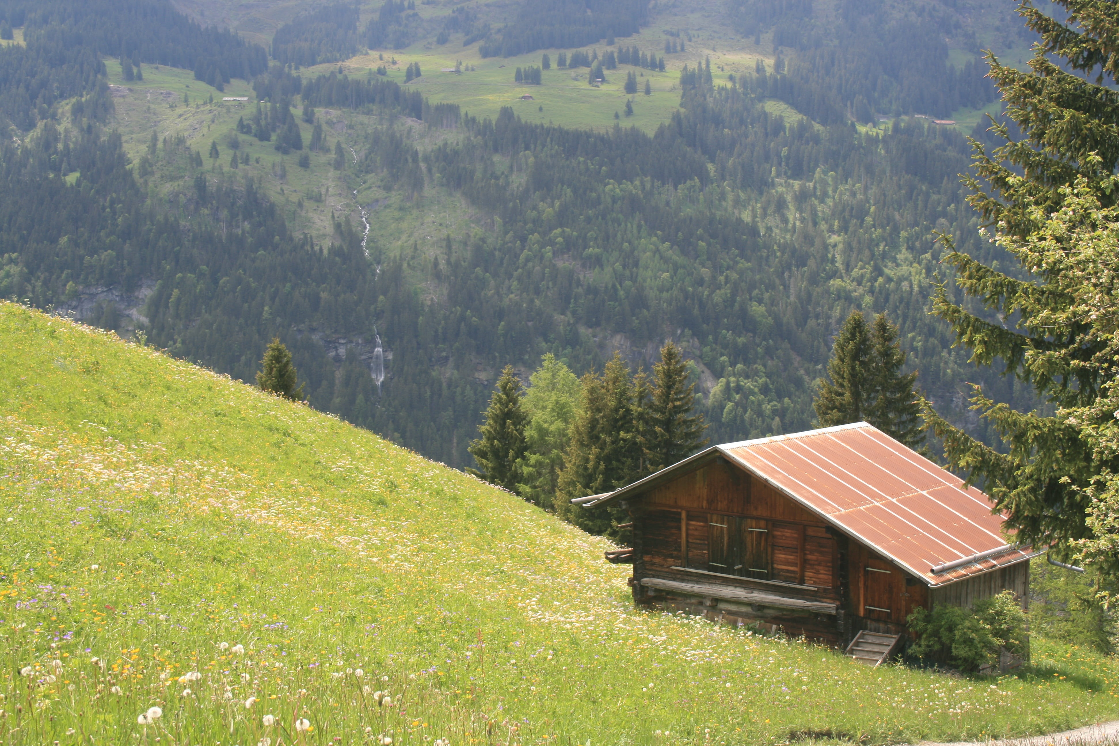 holiday, tranquil scene, plant, scenics - nature, architecture, chalet, tree, european, vacation, forest, europe, trees, building, house, environment, rural scene, HD Wallpaper