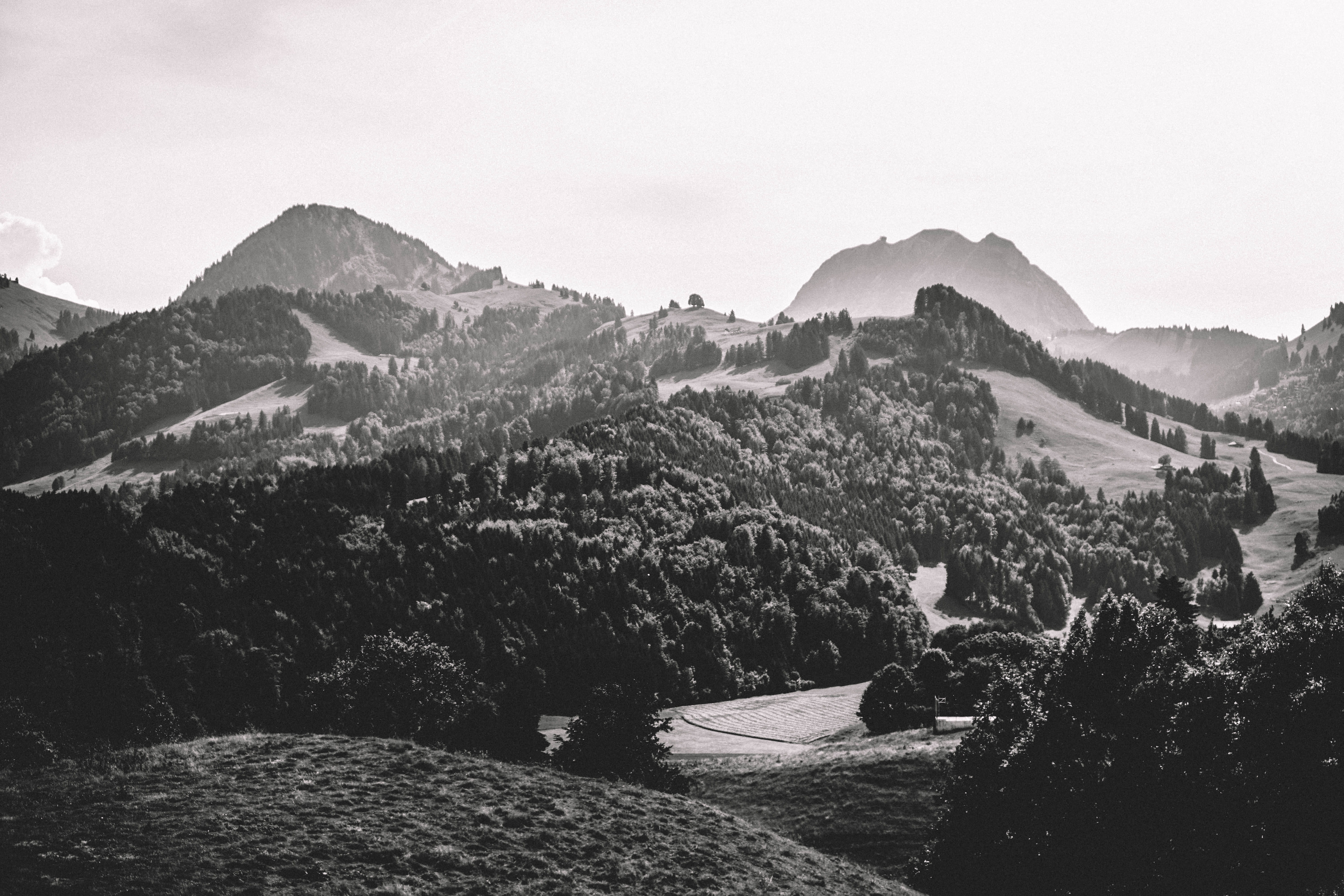 beauty in nature, alps, tree, summit, no people, mountain range, outdoors, tranquil scene, hillside, sky, woodland, white, rock, nature, day, grayscale, HD Wallpaper