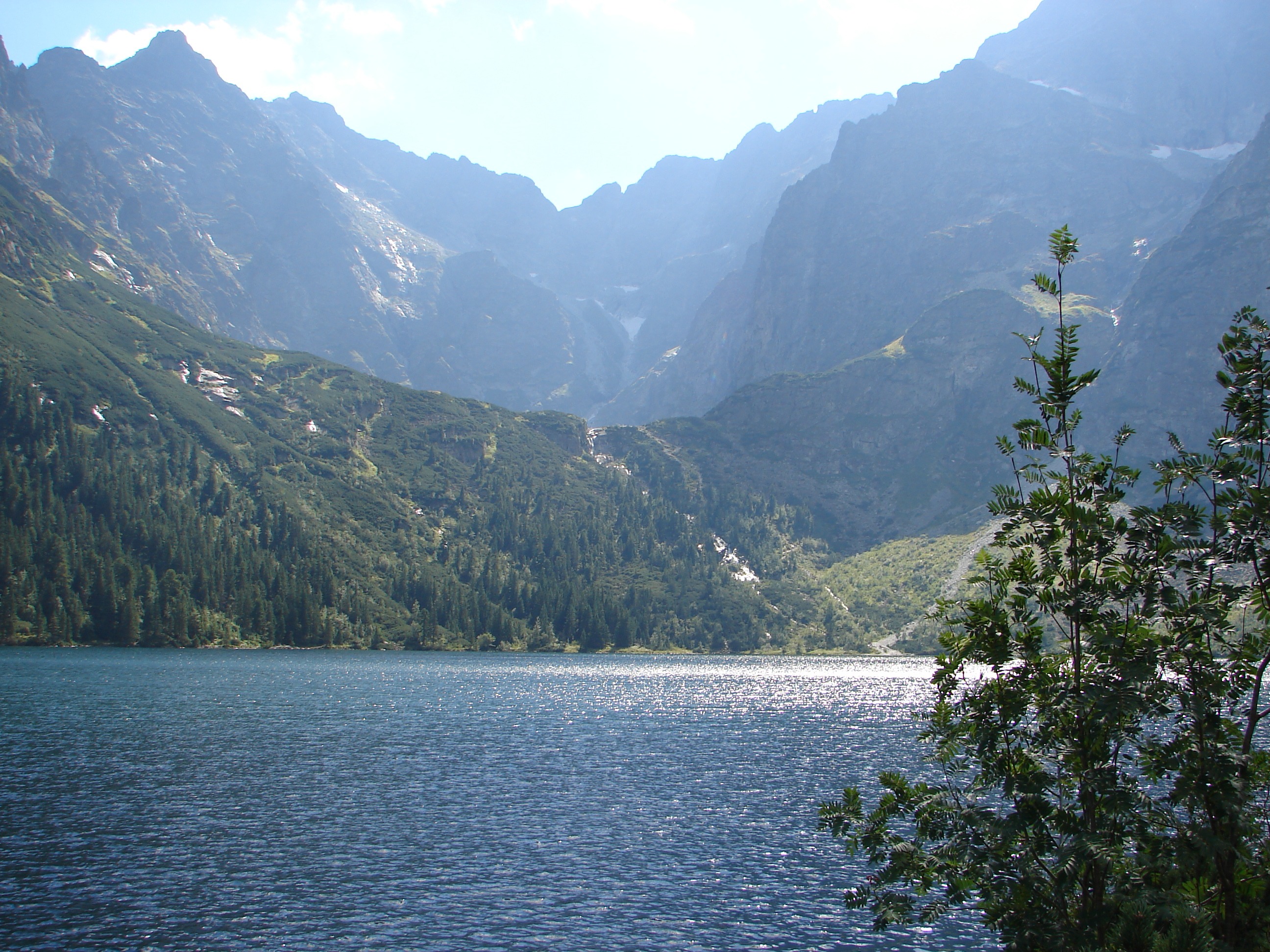 view, growth, tranquil scene, poland, tranquility, mountain, waterfront, water, plant, mountains, outdoors, morskie oko, no people, non-urban scene, nature, HD Wallpaper