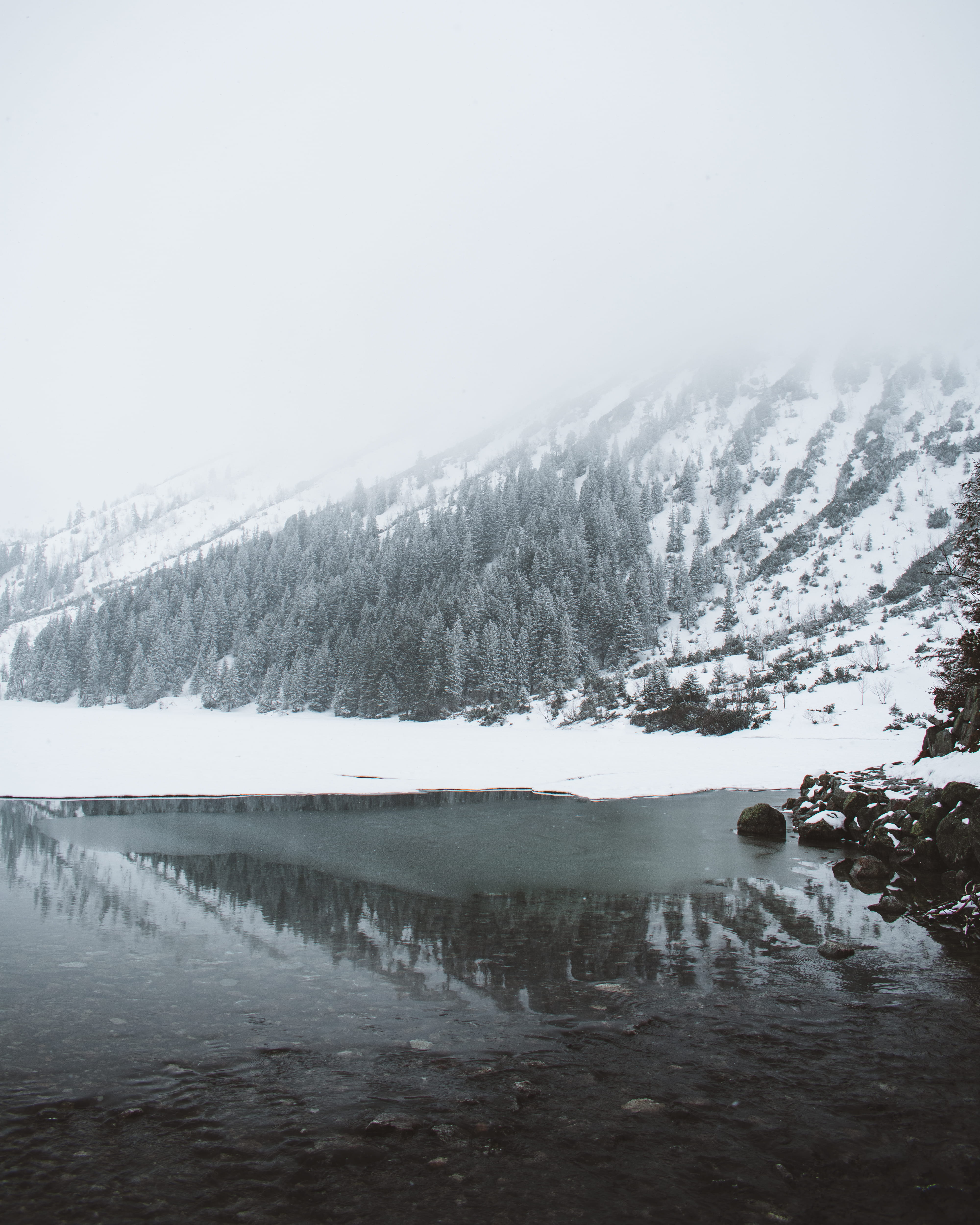 forest, no people, mountain, land, woods, ice, scenery, lake, beauty in nature, photo, landscape, snow, snowcapped mountain, 4K, mountains, plant, abies, Phone HD Wallpaper