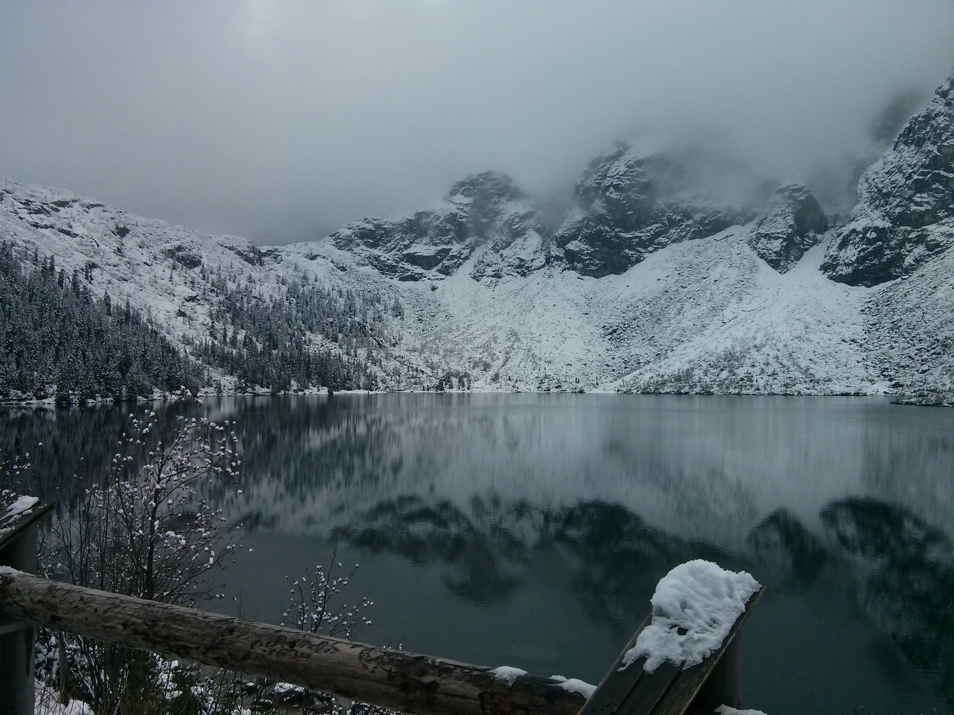 nature, no people, morskie oko, mountain peak, scenics - nature, pine woodland, winter, lake, winter in the mountains, tree, pine tree, 2K, frozen, environment, HD Wallpaper
